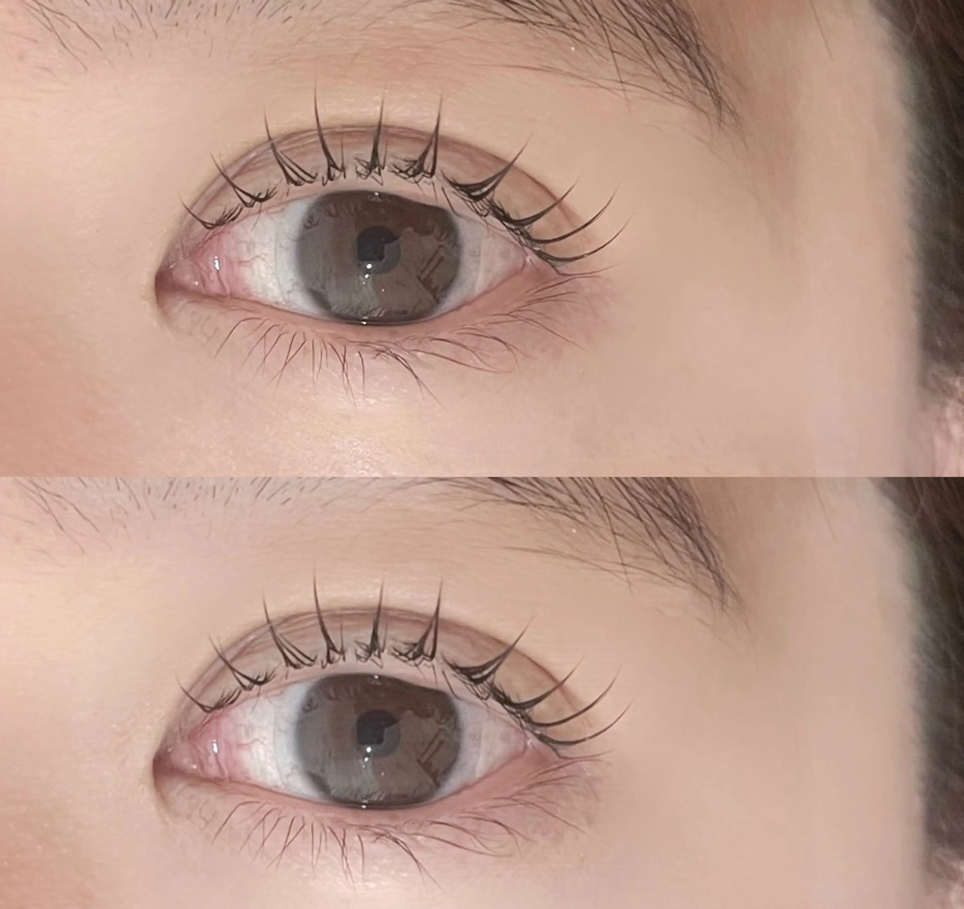 【平日限定】🌸まつげパーマ/ラッシュリフト🌸コーティング付🫧韓国・束感ぱっちり上向き×似合わせデザイン《平塚駅》の写真