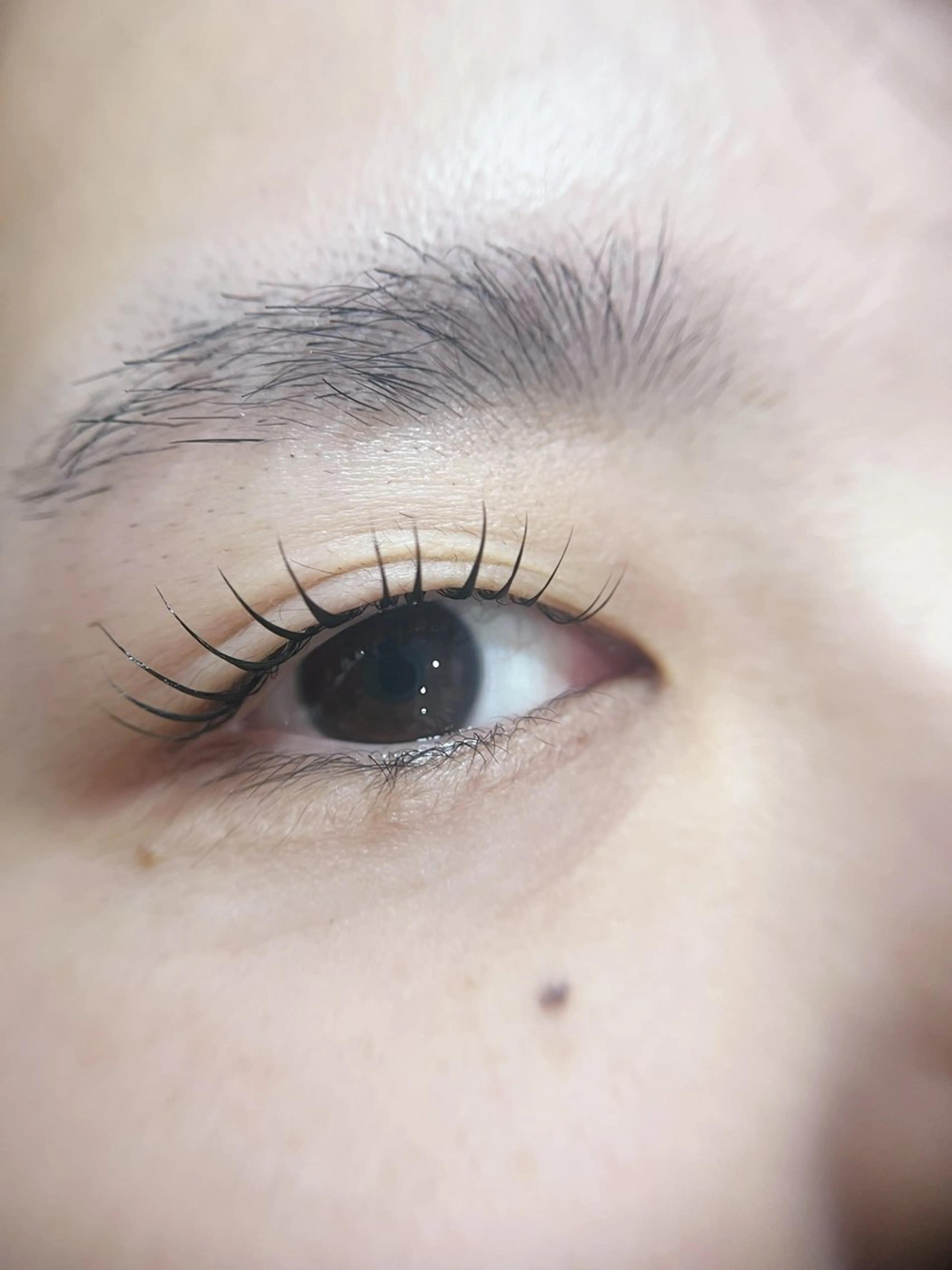 マツエク・マツパ マツパ －Ojiー セナのマツエク・マツパデザイン