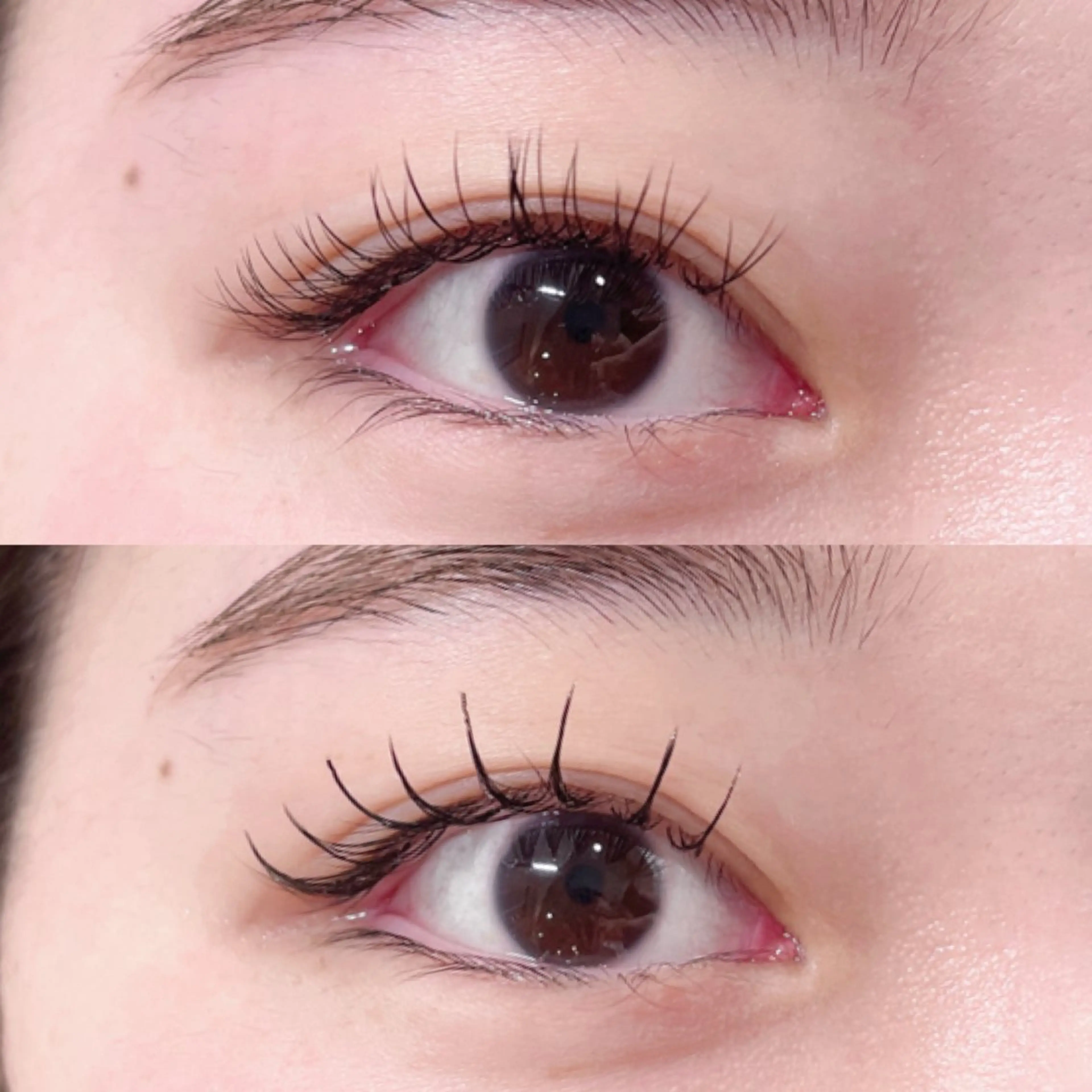 マツエク・マツパ 束感まつ毛 Cカール フラットラッシュ 韓国風マツエク マツエク 🎀Lino 中目黒 TAKAMI🐈のマツエク・マツパデザイン