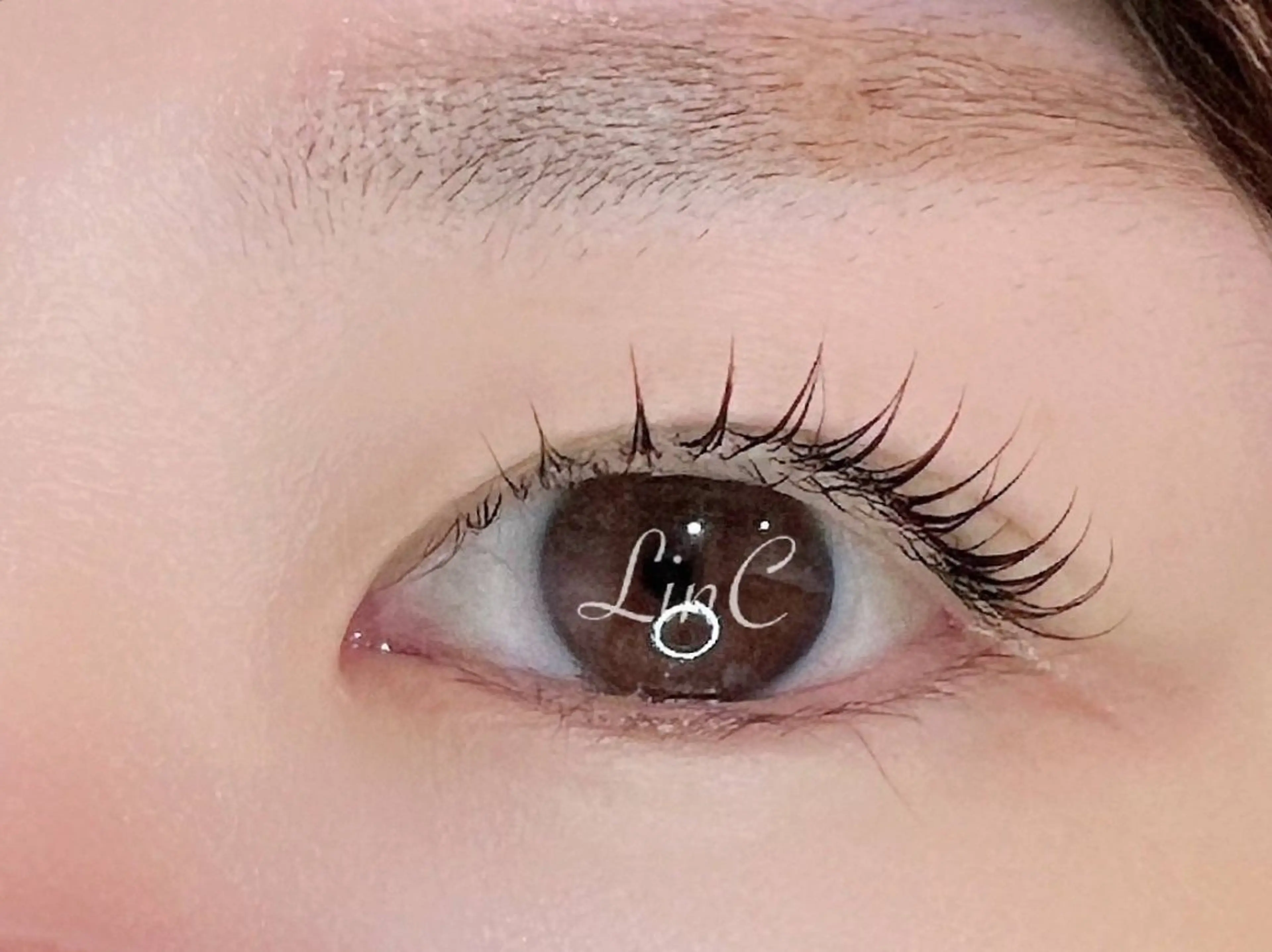 【‼️minimo限定‼️】まつ毛パーマ+アイブロウワックス✨¥7300の写真