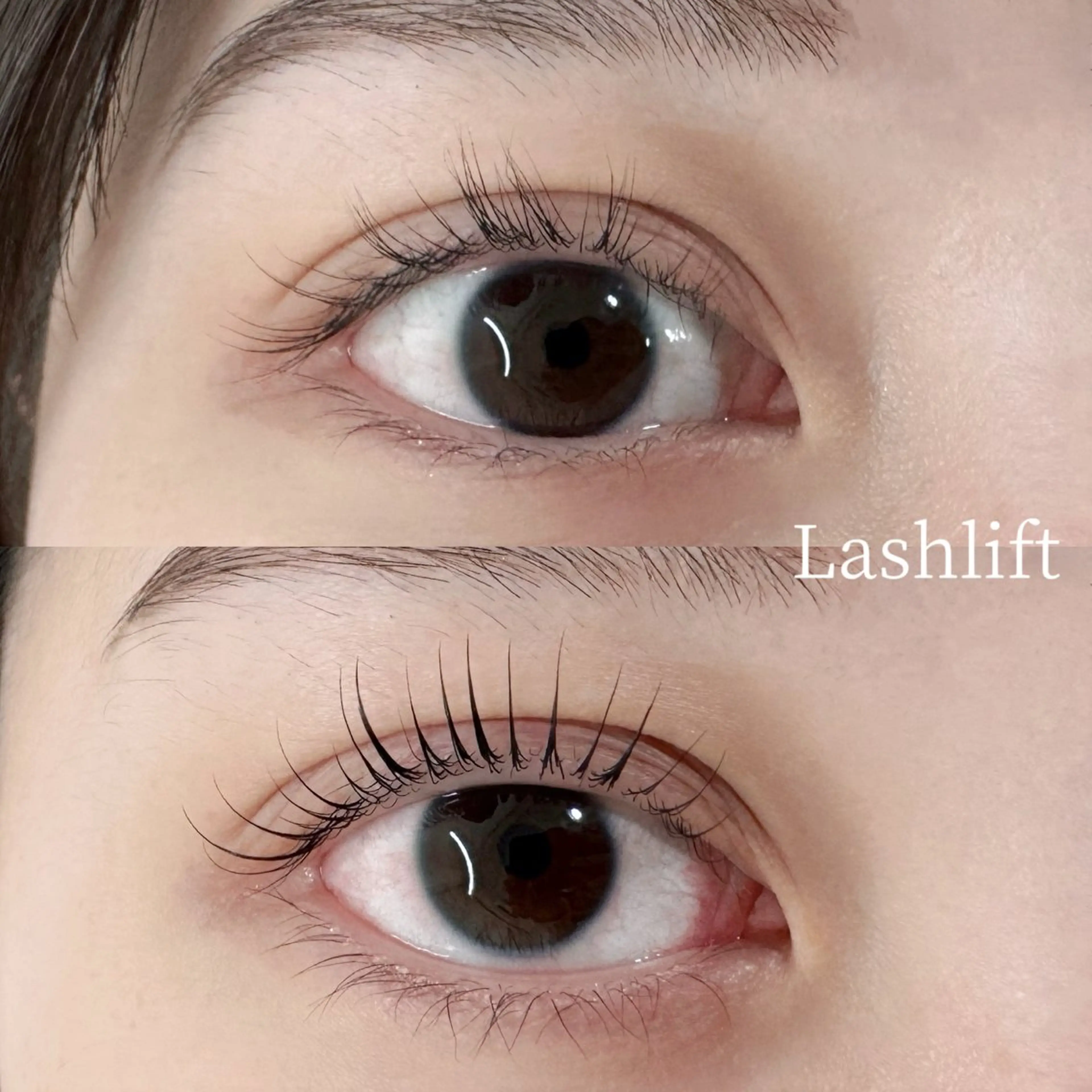 【平日限定】まつげパーマ（上）トリートメント付 ¥4,200の写真