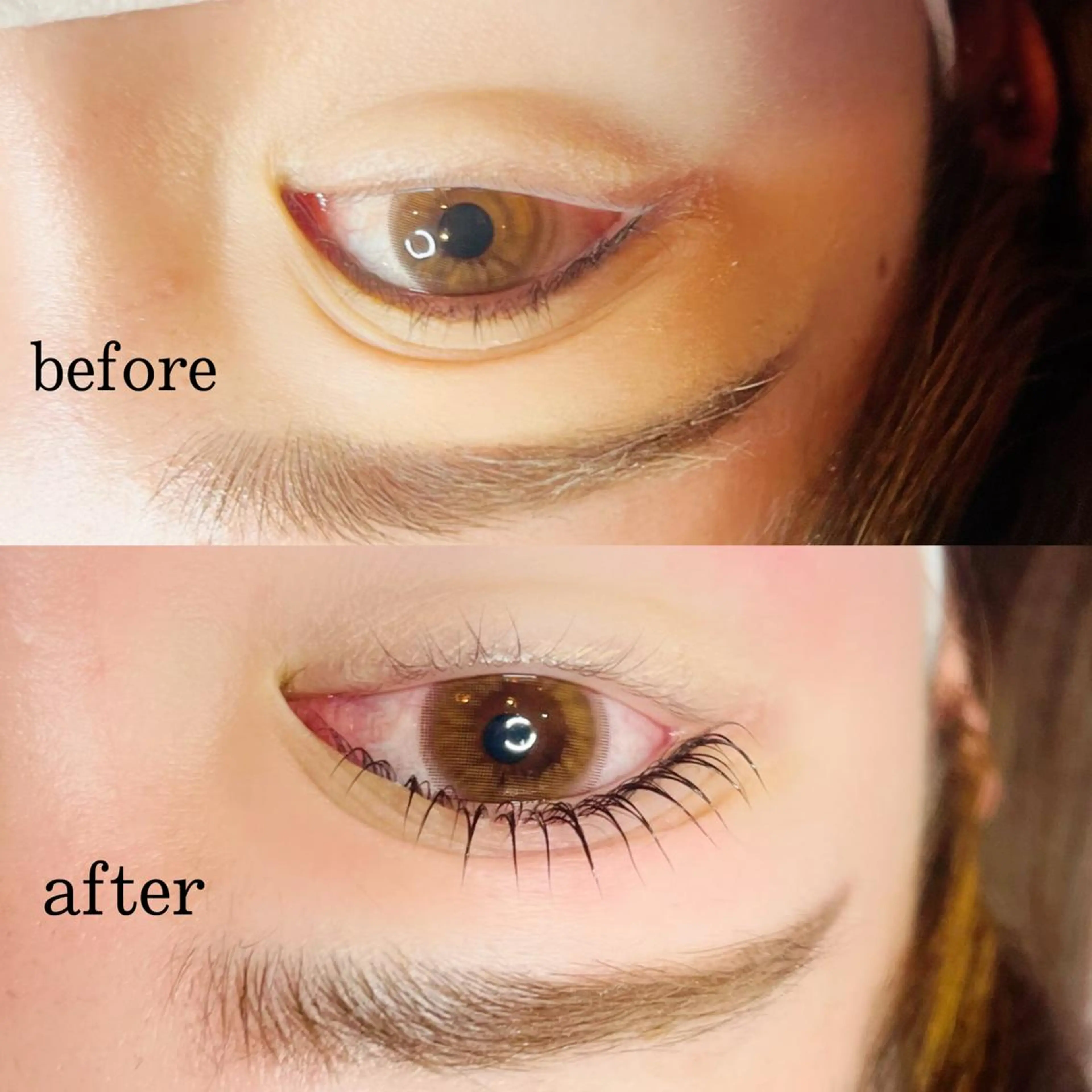 4月来店限定♡パリジェンヌラッシュリフト🪽4800yenの写真