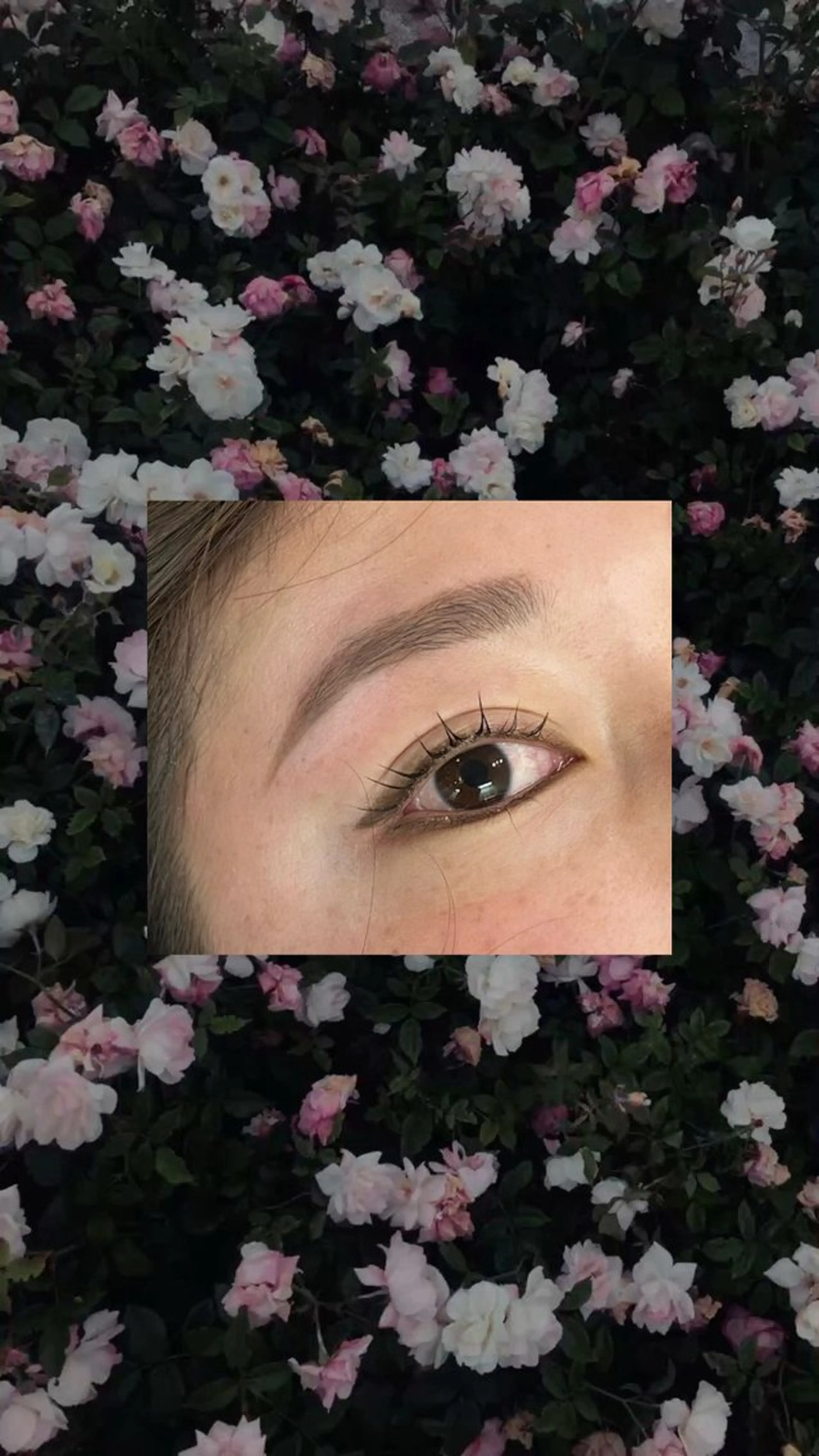 マツエク・マツパ まつげパーマ EYELA調布🪄 ...aisaのマツエク・マツパデザイン