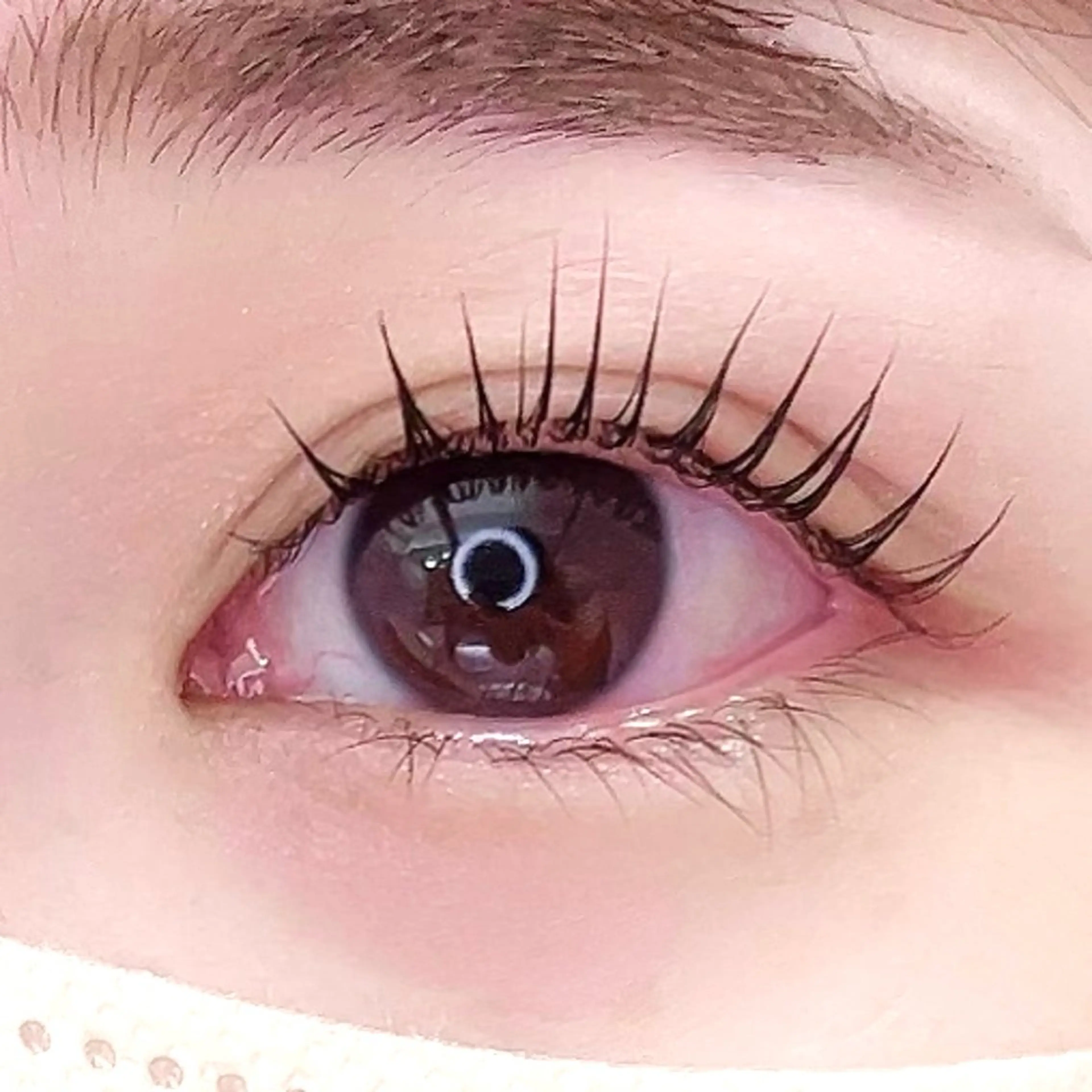 【ご新規様】パリジェンヌラッシュリフト🎈の写真