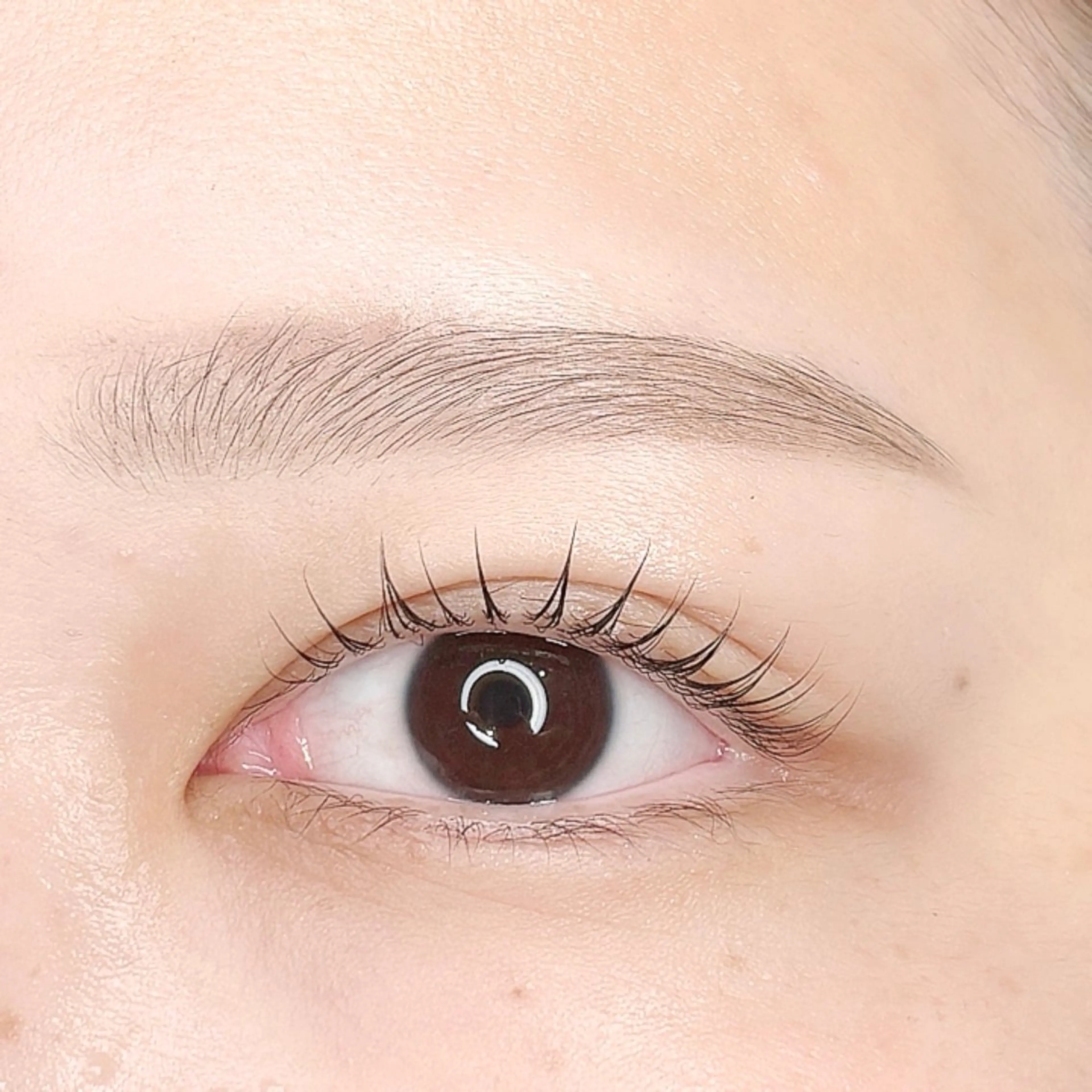 マツエク・マツパ まつげパーマ VERRY. NAKANOのマツエク・マツパデザイン