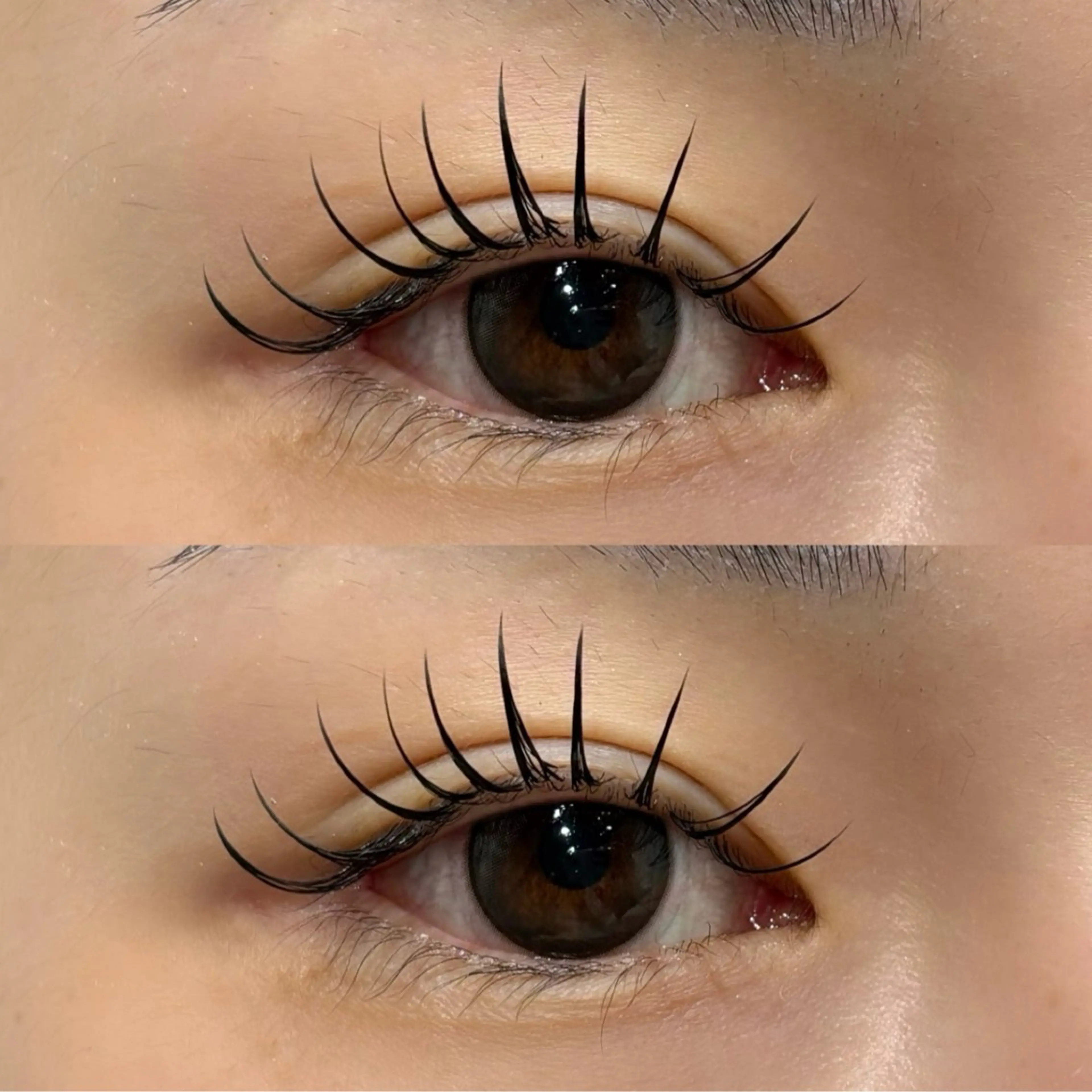 【盛れるワンホンまつ毛に🌹オフ込み】持続性UP◎フラットマットラッシュ120本の写真