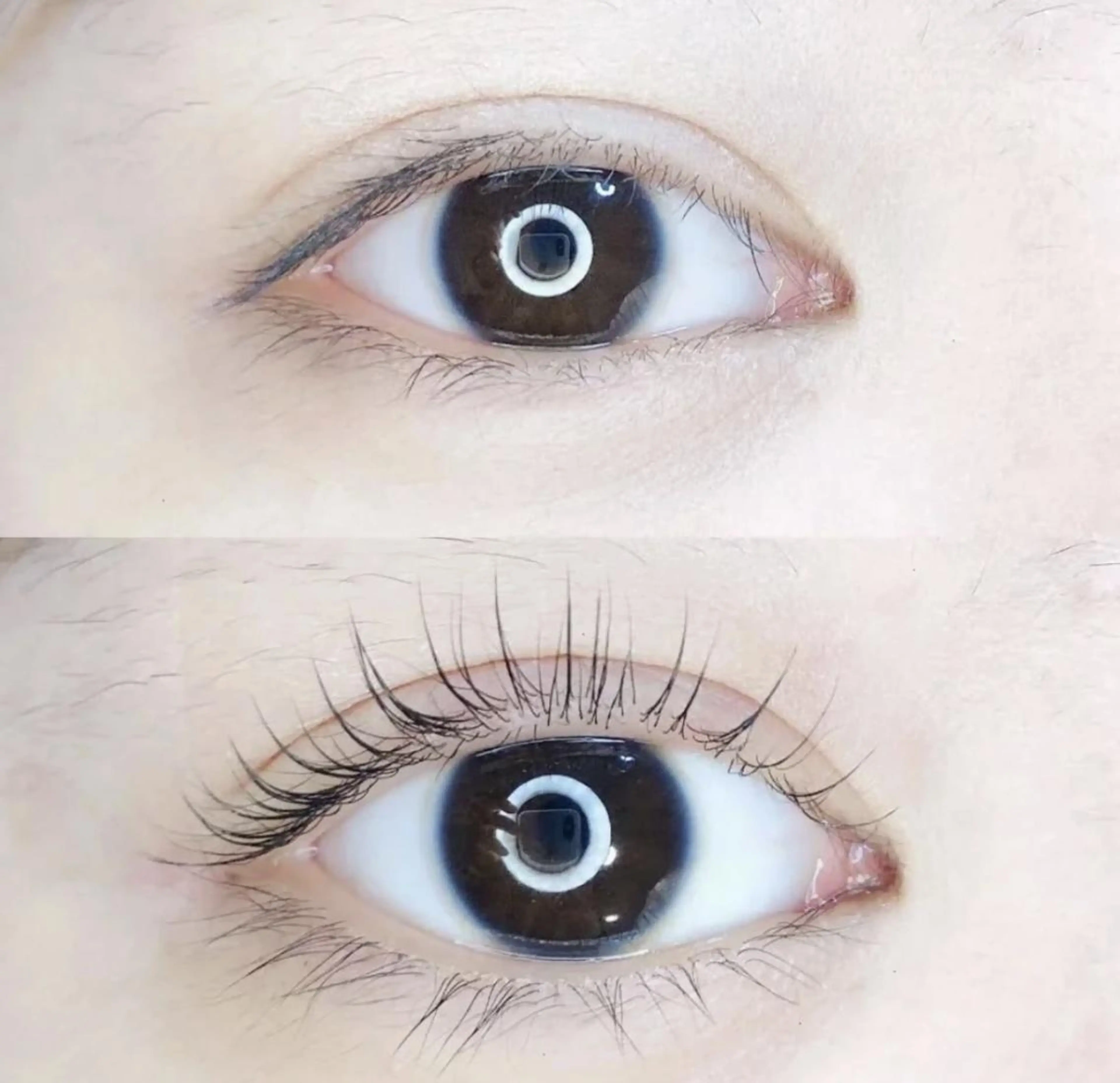 再来何回でも同料金まつげパーマ上/美容液付きの写真