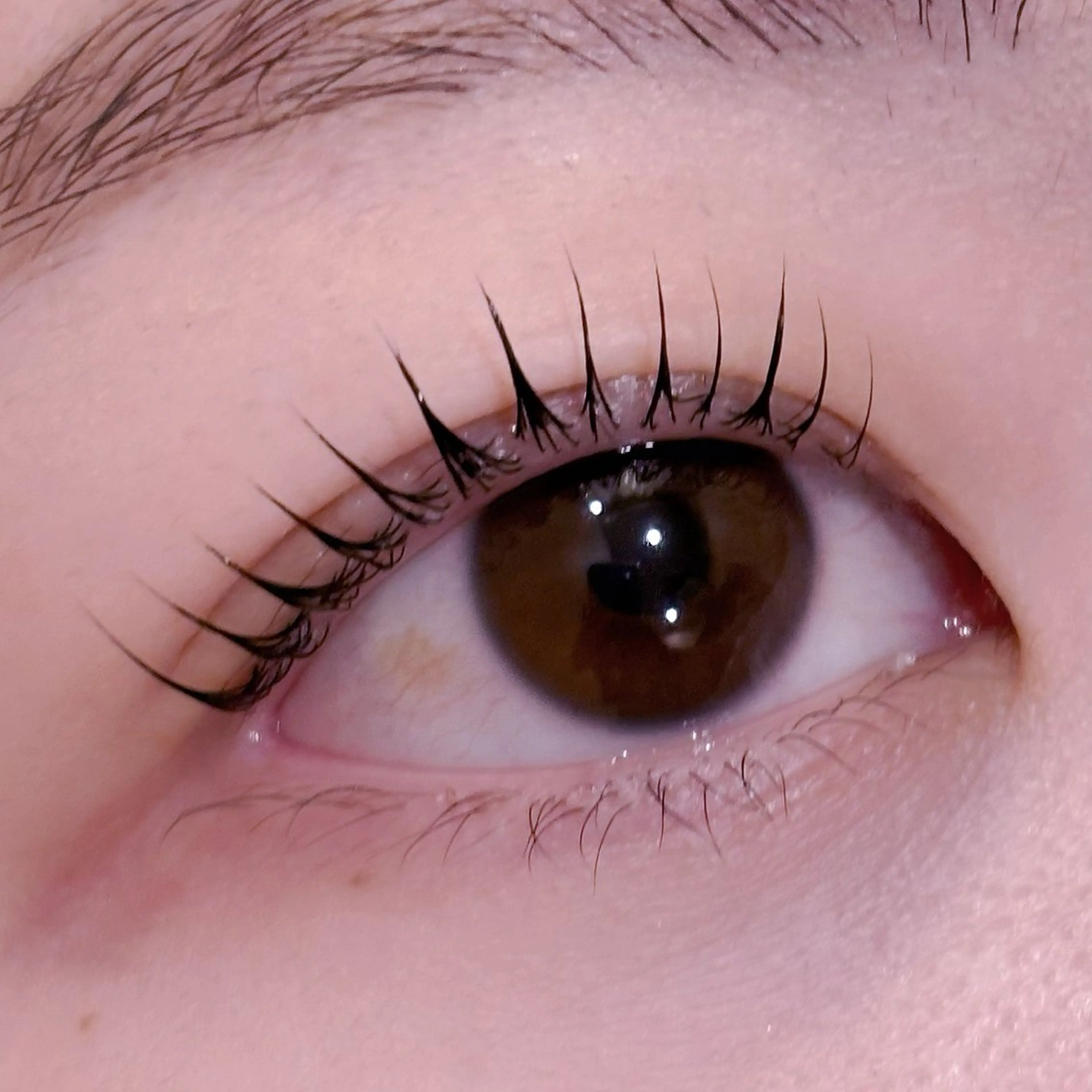 マツエク・マツパ マツパ pono大宮東口店 店長🩰AOHA🩰のマツエク・マツパデザイン