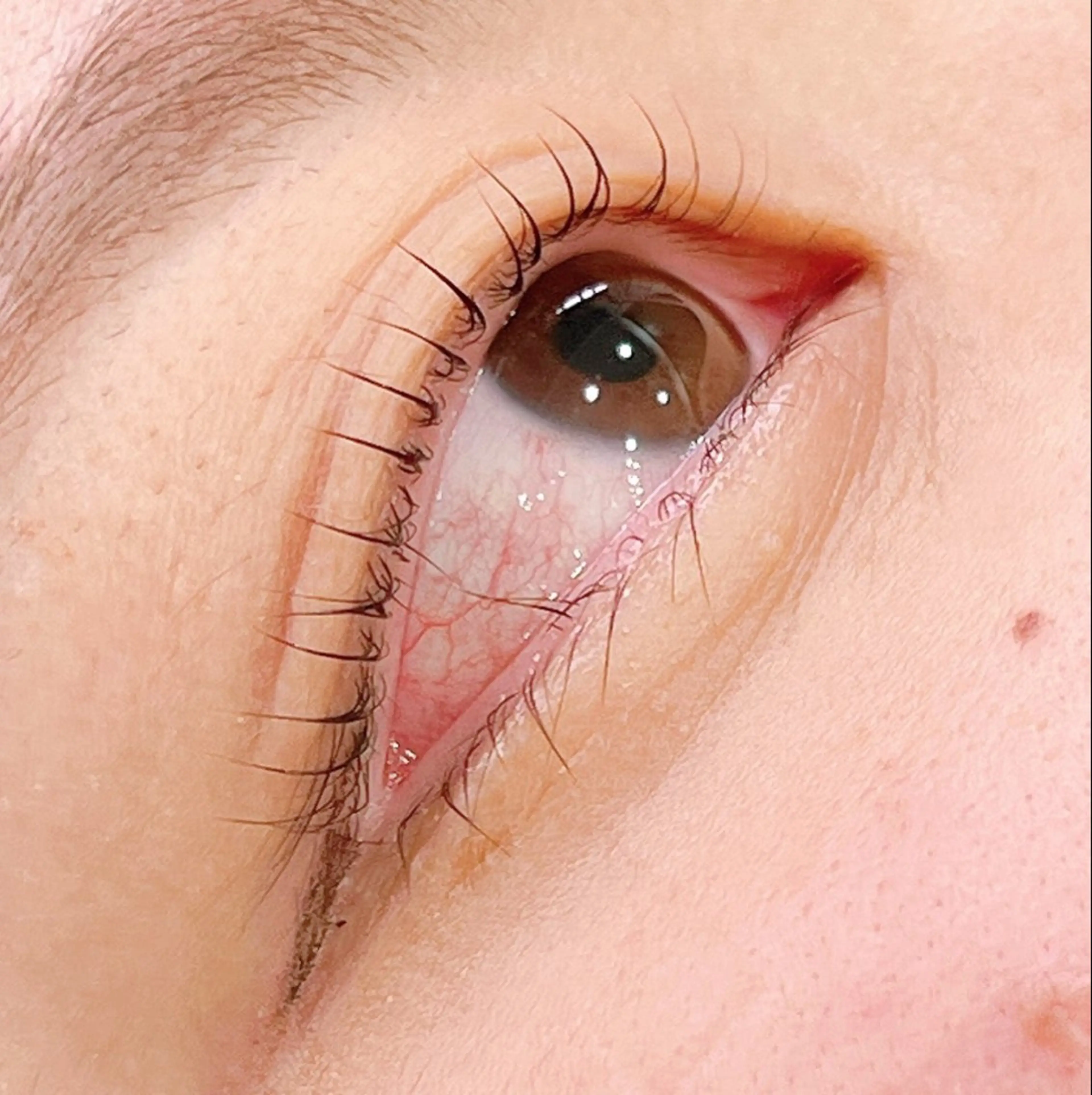 マツエク・マツパ Ayako Beautyのマツエク・マツパデザイン