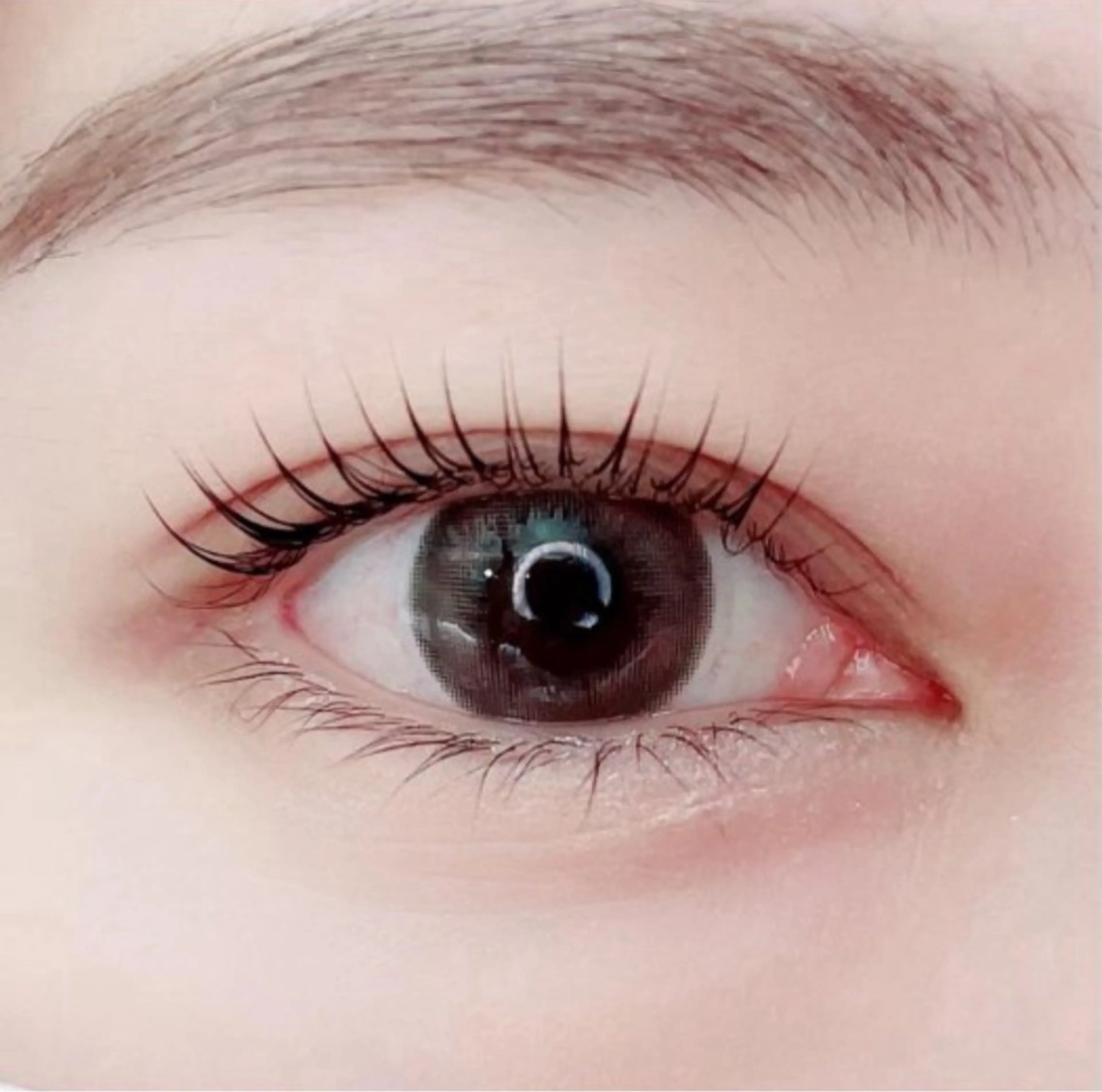 ラッシュリフト＋美容液ラッシュアディクトのset価格の写真