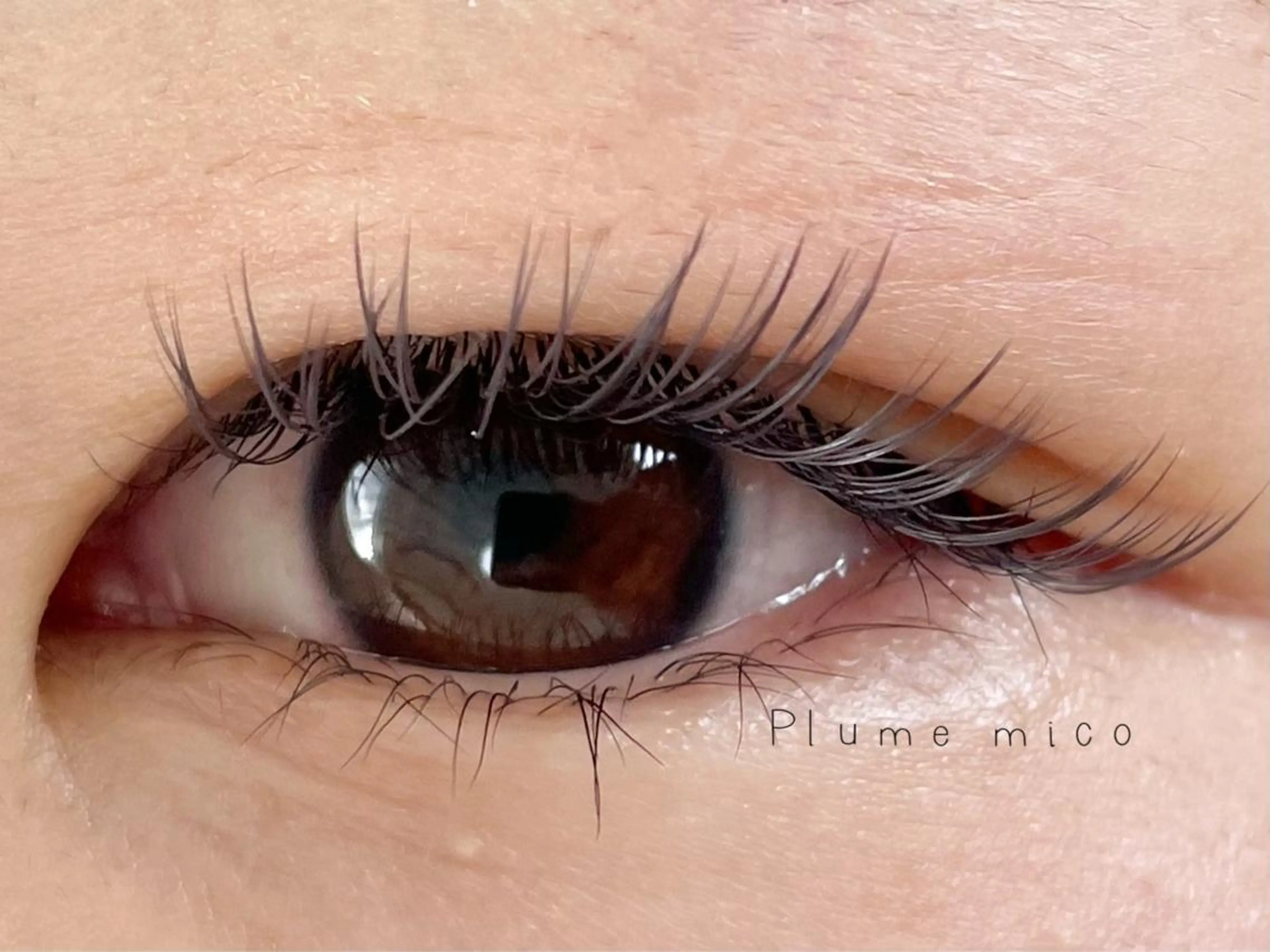 マツエク・マツパ マツエク Plume micoのマツエク・マツパデザイン