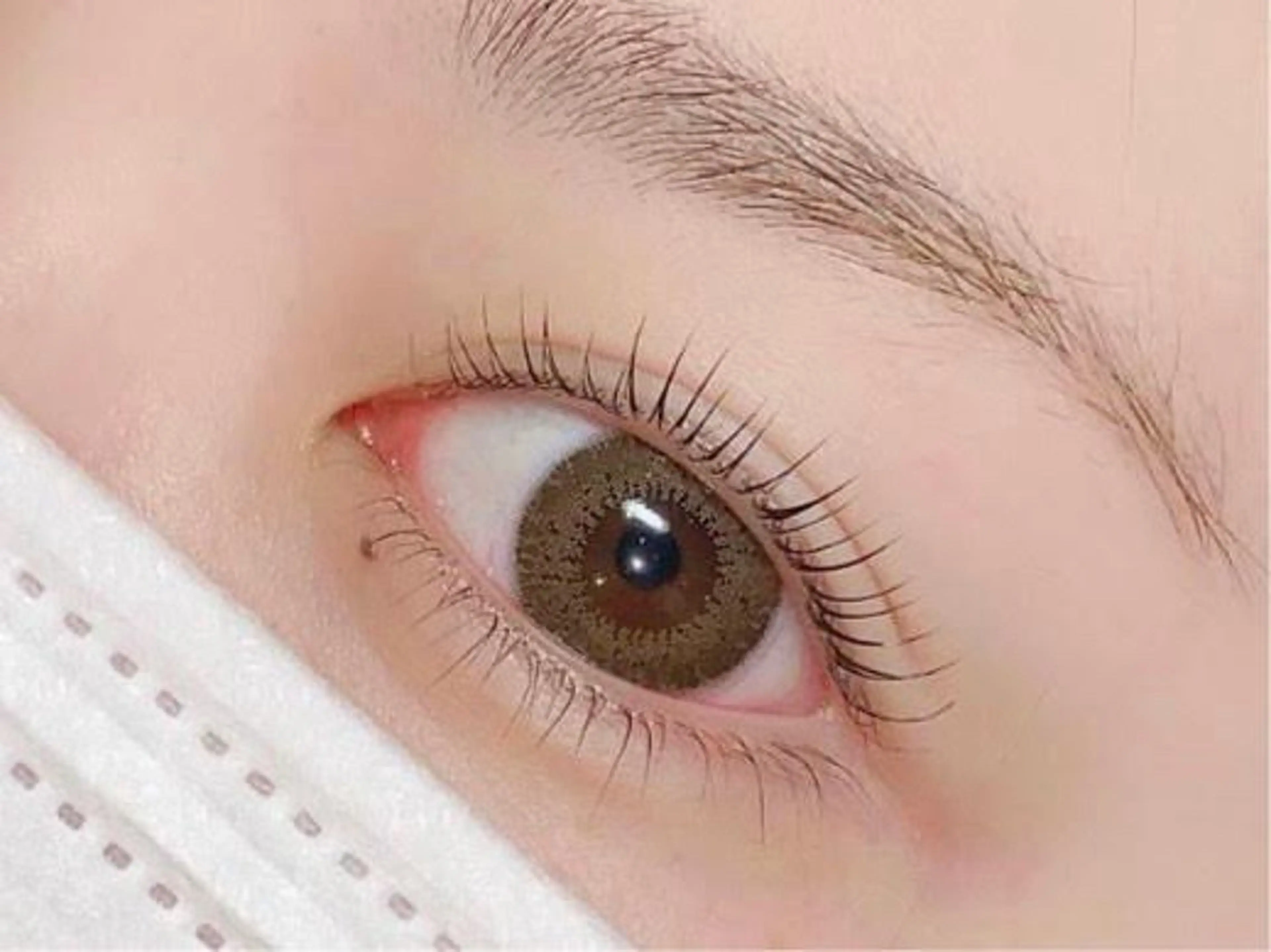 お仕事終わりに◎【20時以降専用クーポン】ラッシュリフト💖の写真