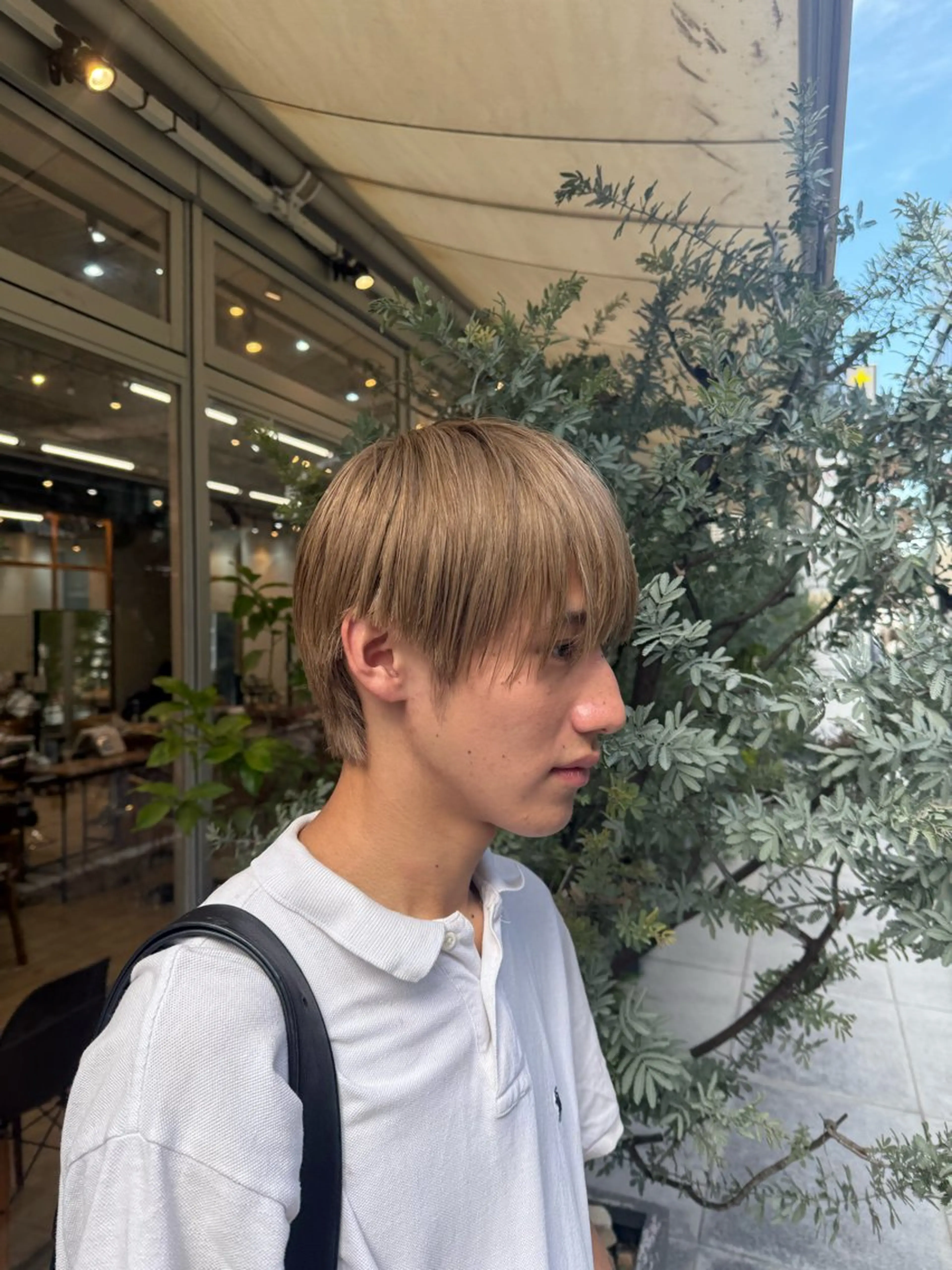 メンズ マッシュ 明津 桜空のヘアスタイル