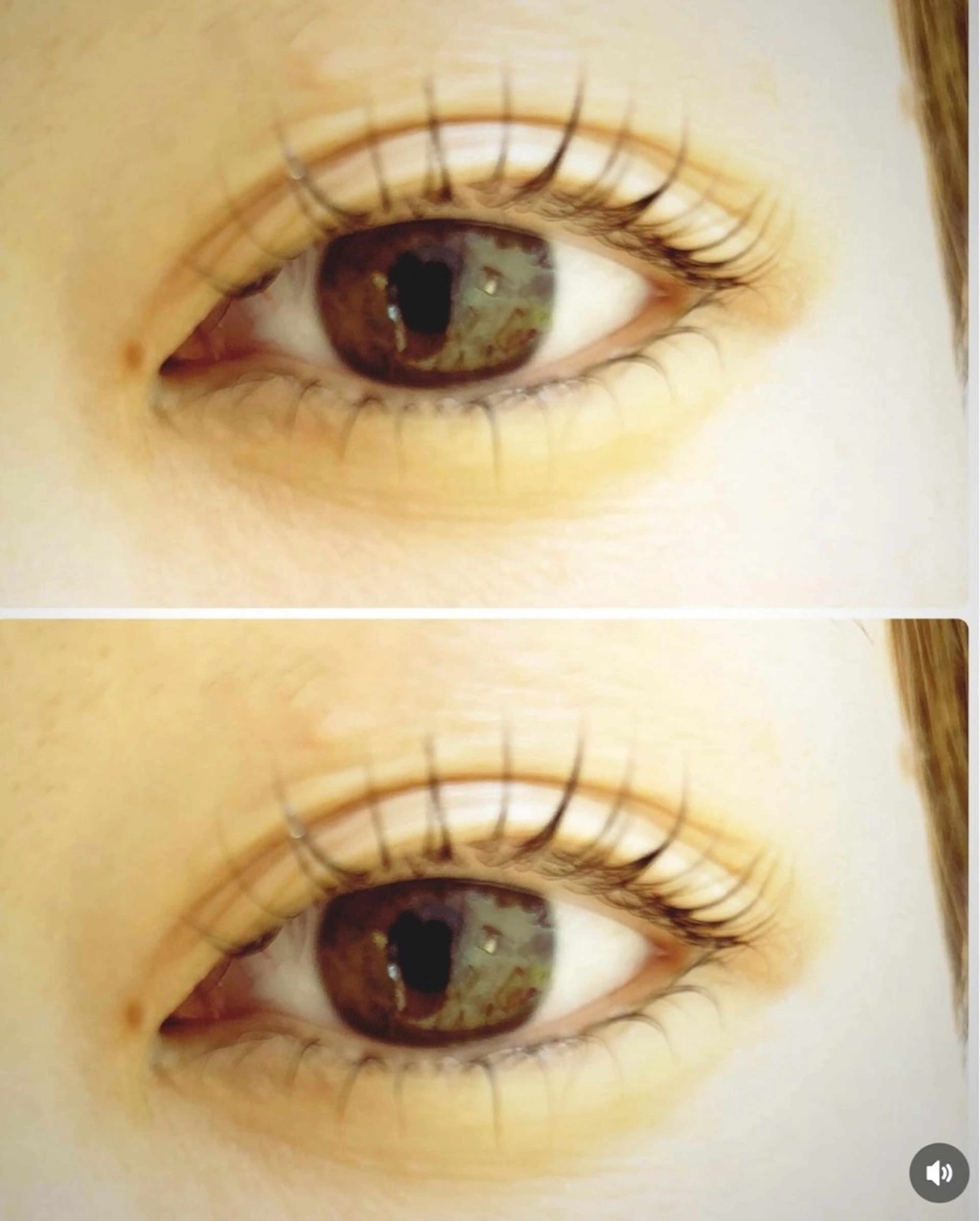 キープ力抜群🦋ラッシュリフト（上下）🍬束感の有無選べます🍭アイシャンプー＆トリートメント付き💎の写真