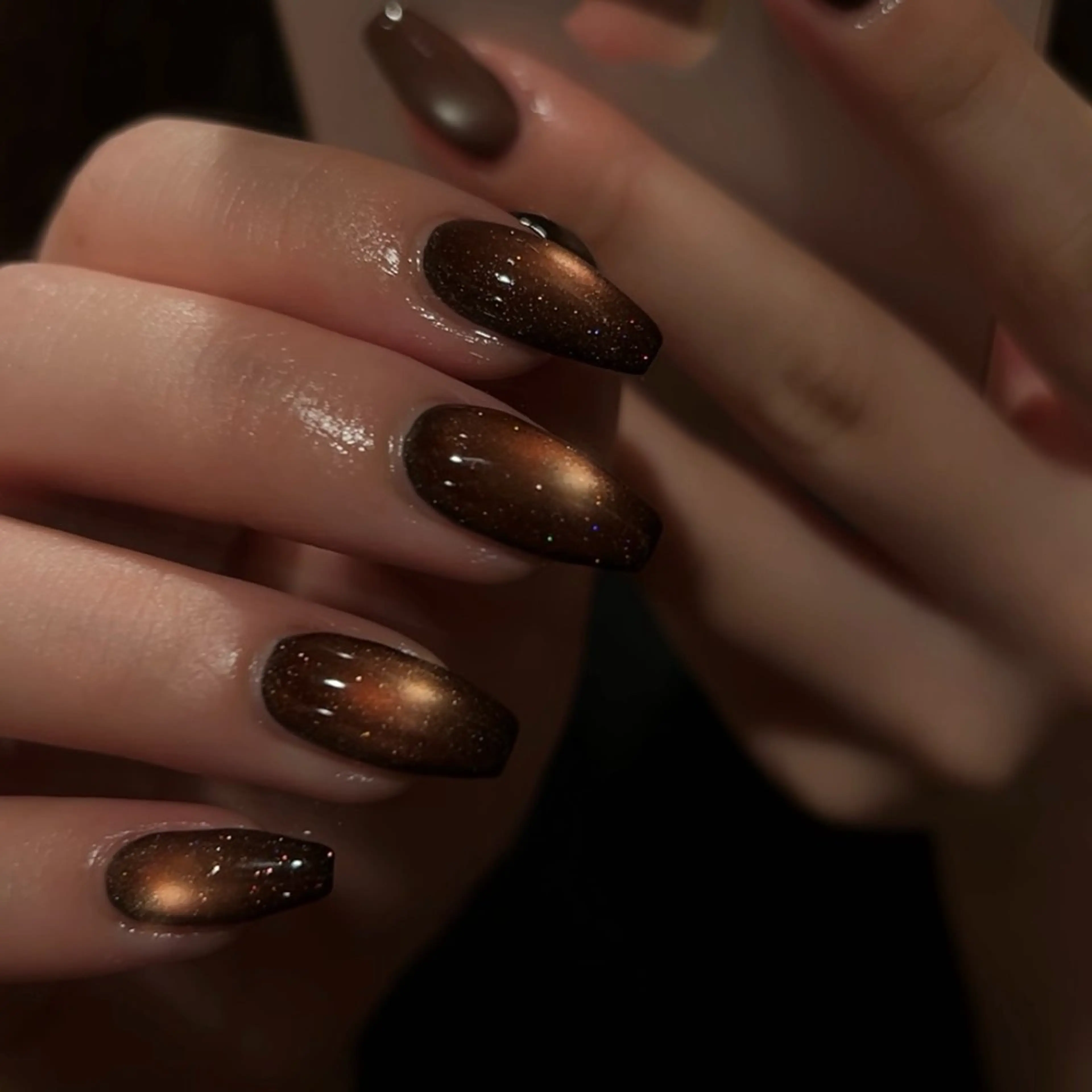 ネイル ブラウン ジェルネイル マグネットネイル ワンカラーネイル パラジェル ハンドネイル 🎀チーク/ちゅるん 🫧chisa🎀のネイルデザイン