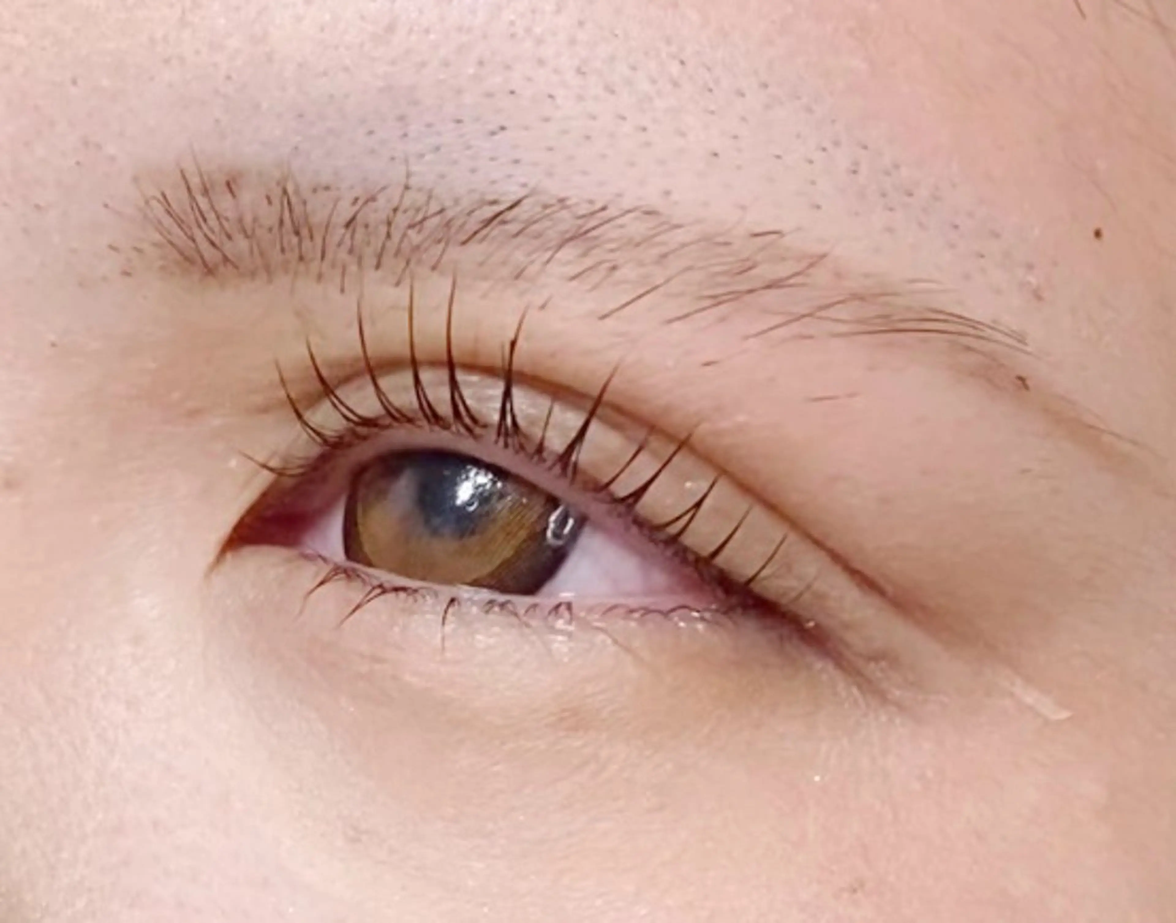 上下パーマの写真