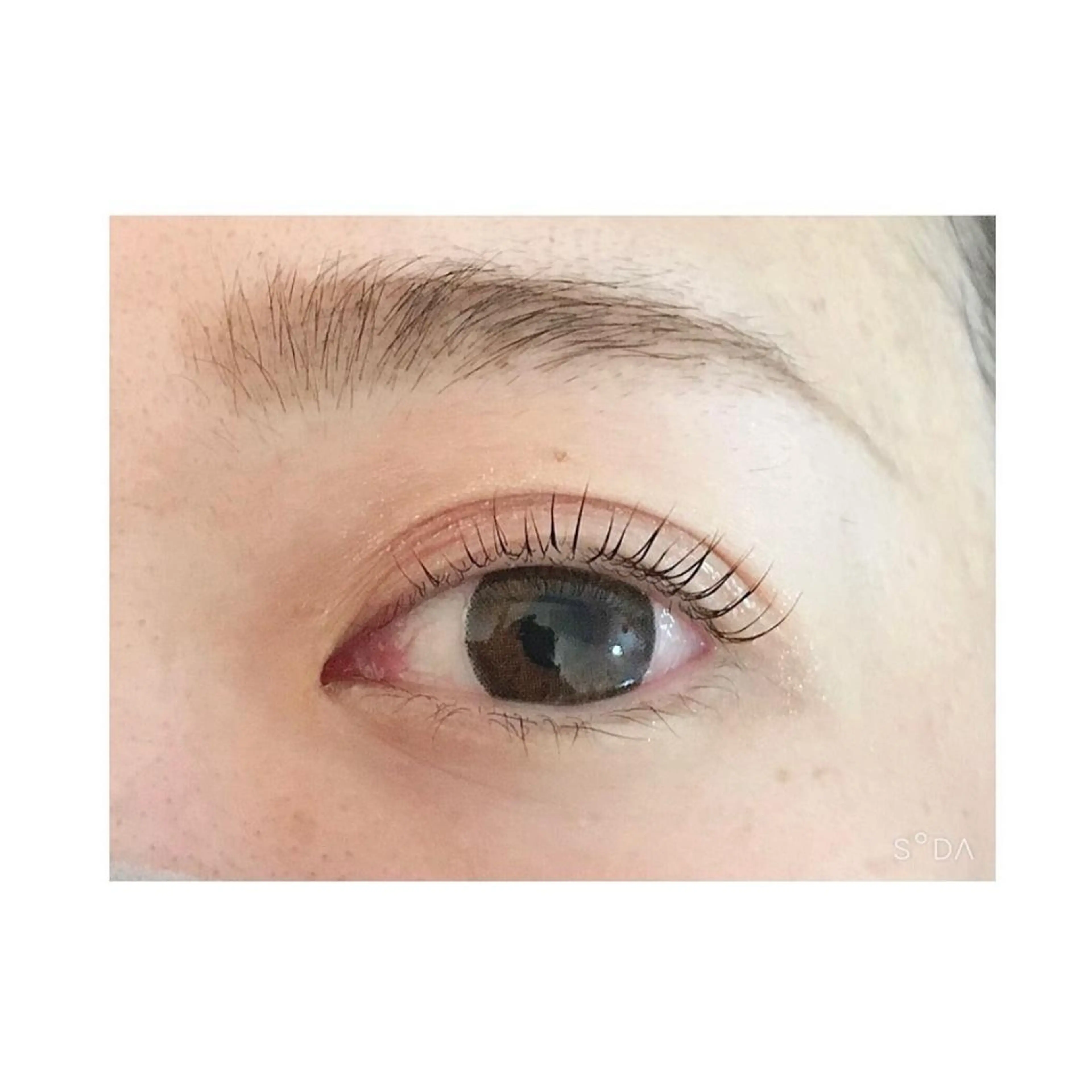 マツエク・マツパ パリジェンヌラッシュリフト ｍｉｐｐｙ 🪽のマツエク・マツパデザイン