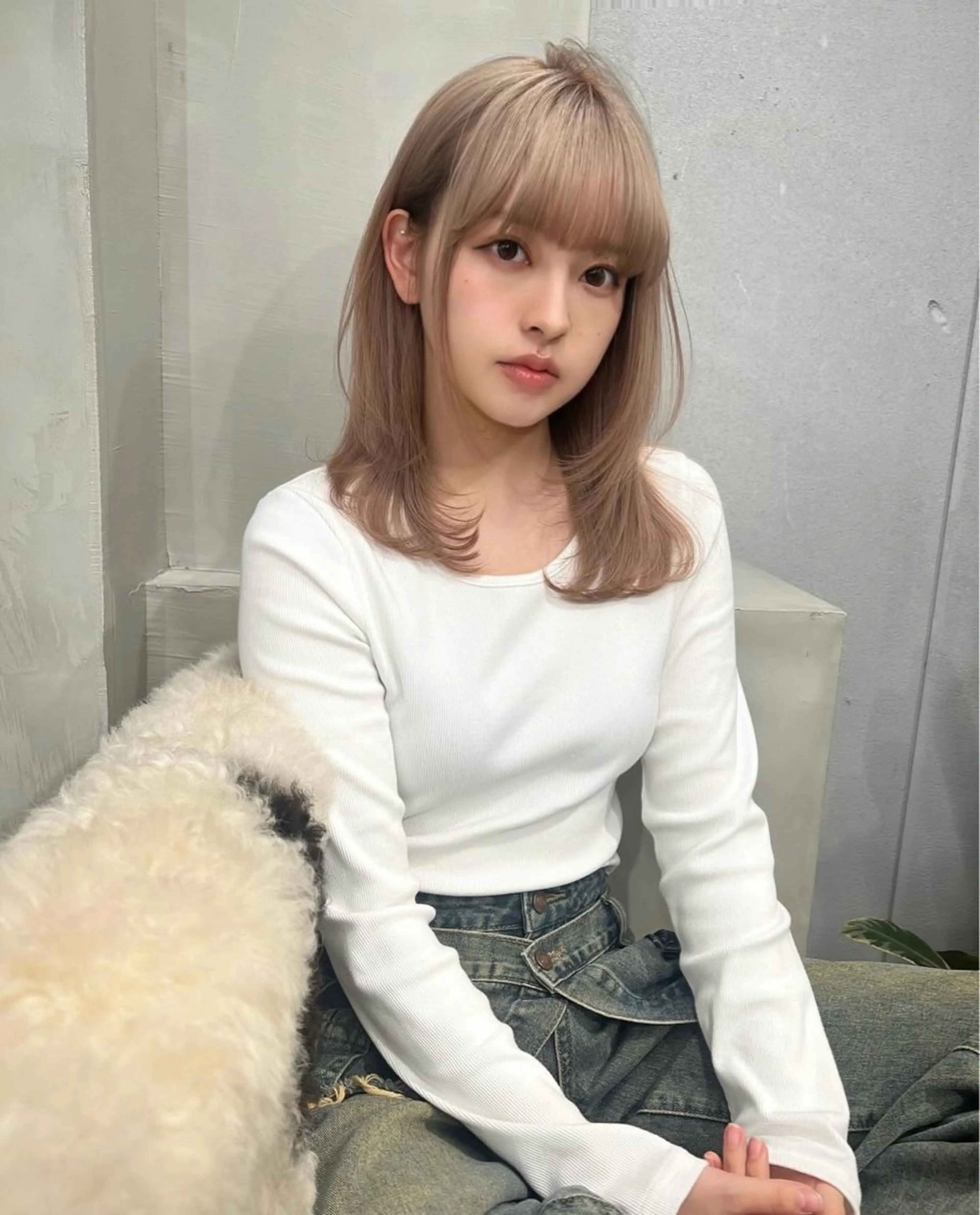 ミディアム カラー カット ヘアカラー トリートメント 韓国/レイヤー/ 透明感🩶ひかる🩶のヘアスタイル