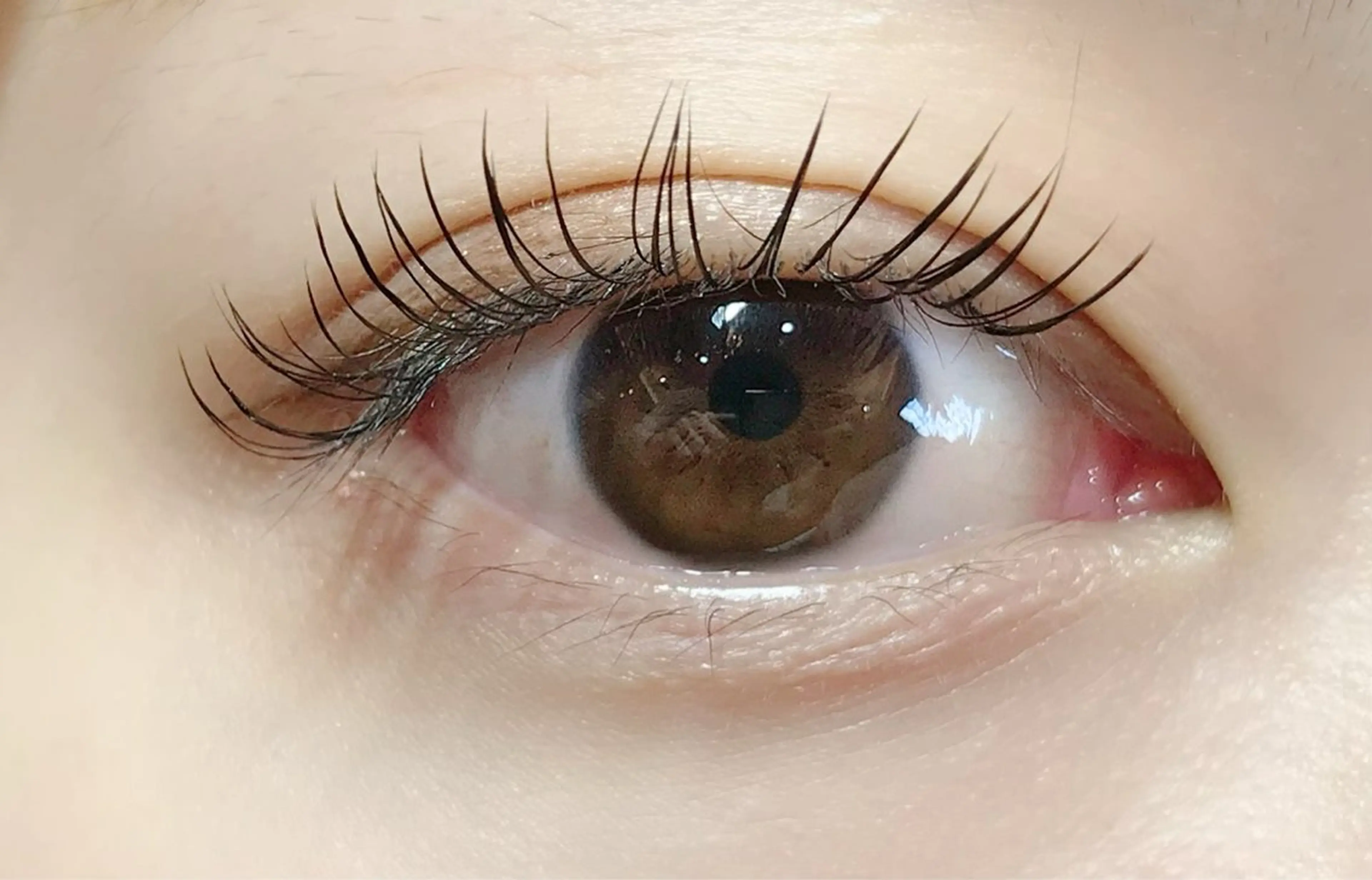 マツエク・マツパ フラットラッシュ DOLL -eyelash-のマツエク・マツパデザイン