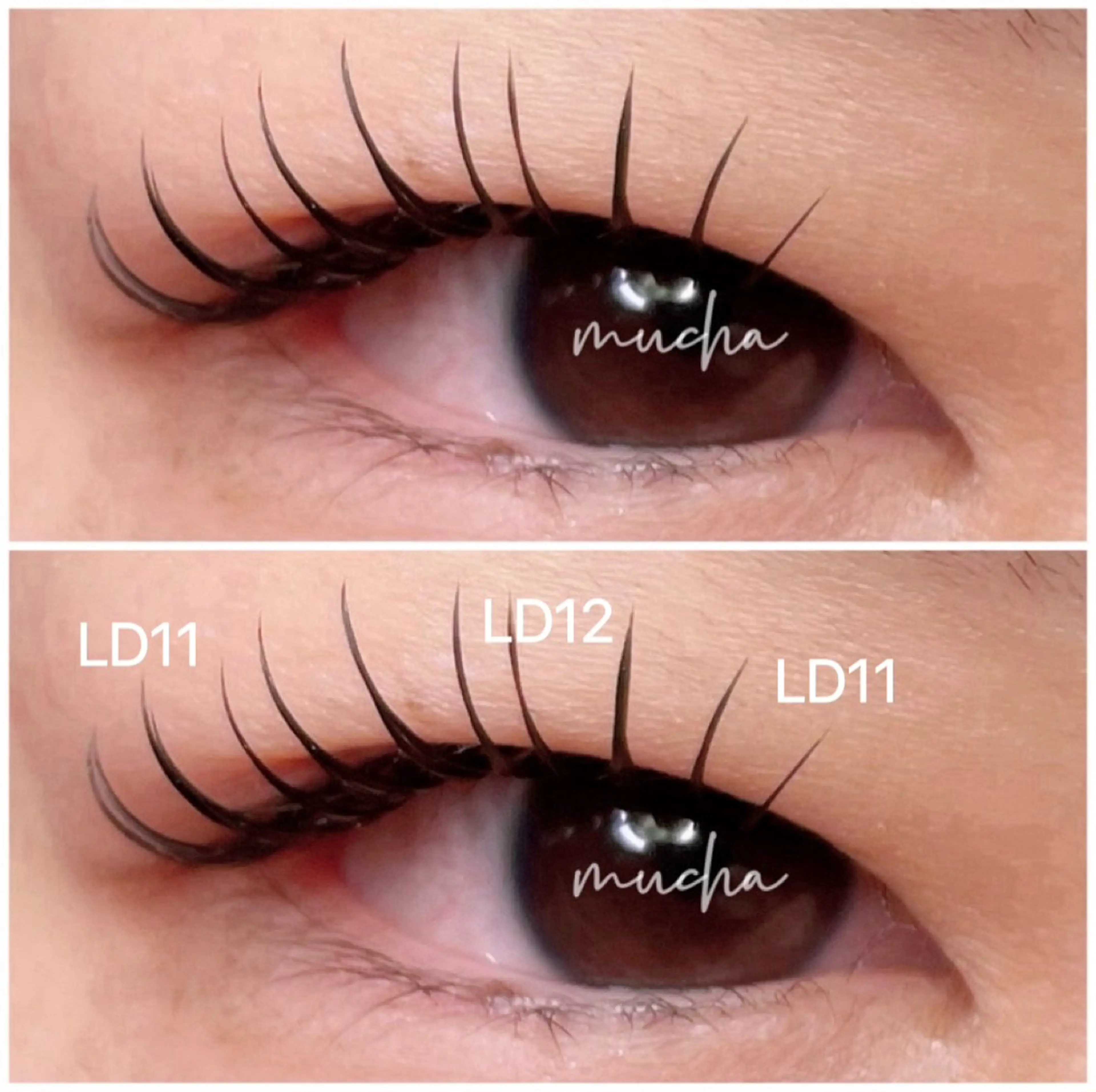 マツエク・マツパ Dカール フラットラッシュ マツエク eyelash muchaのマツエク・マツパデザイン