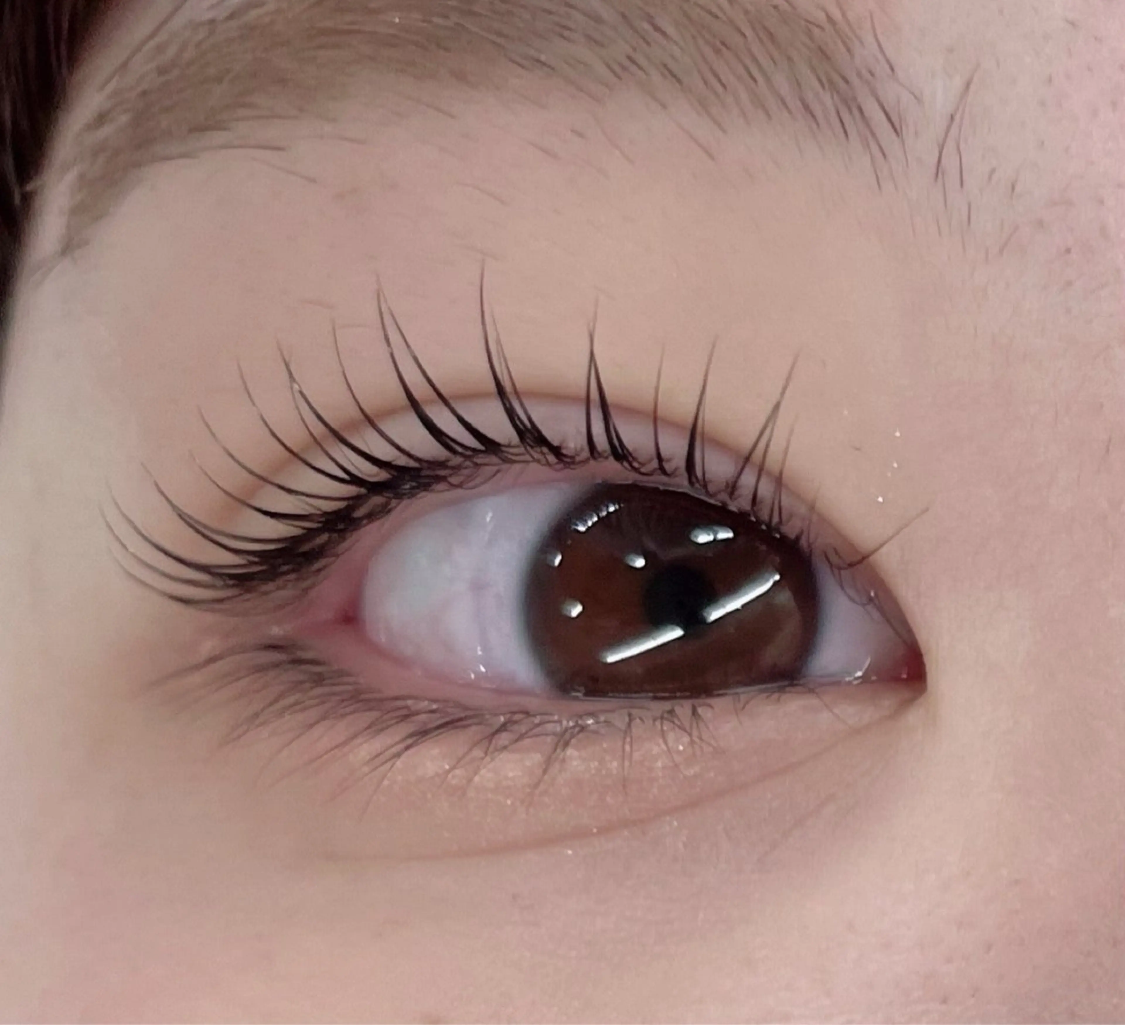 マツエク・マツパ 🌸 SUEMORIのマツエク・マツパデザイン