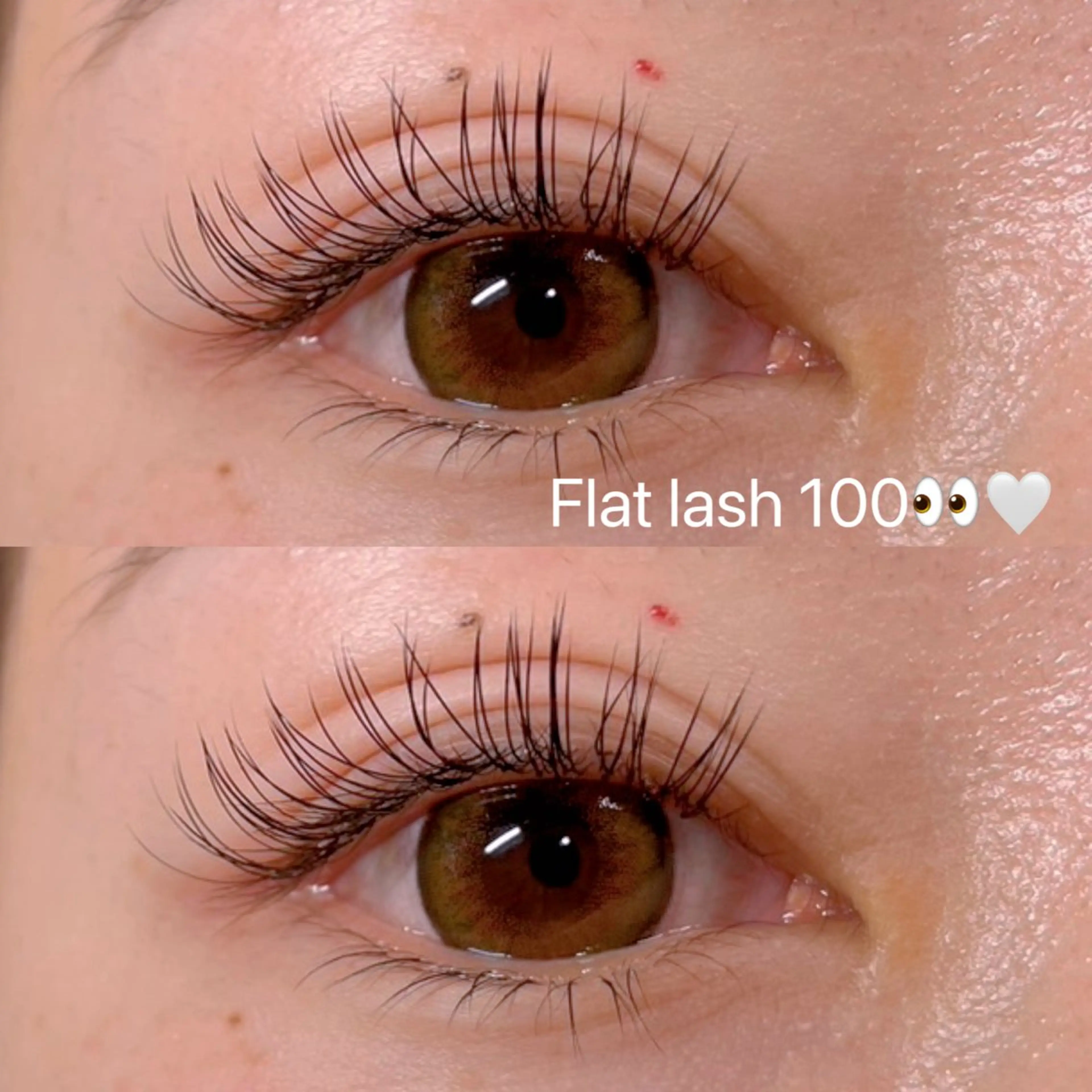 フラットラッシュ100本👀🤍の写真