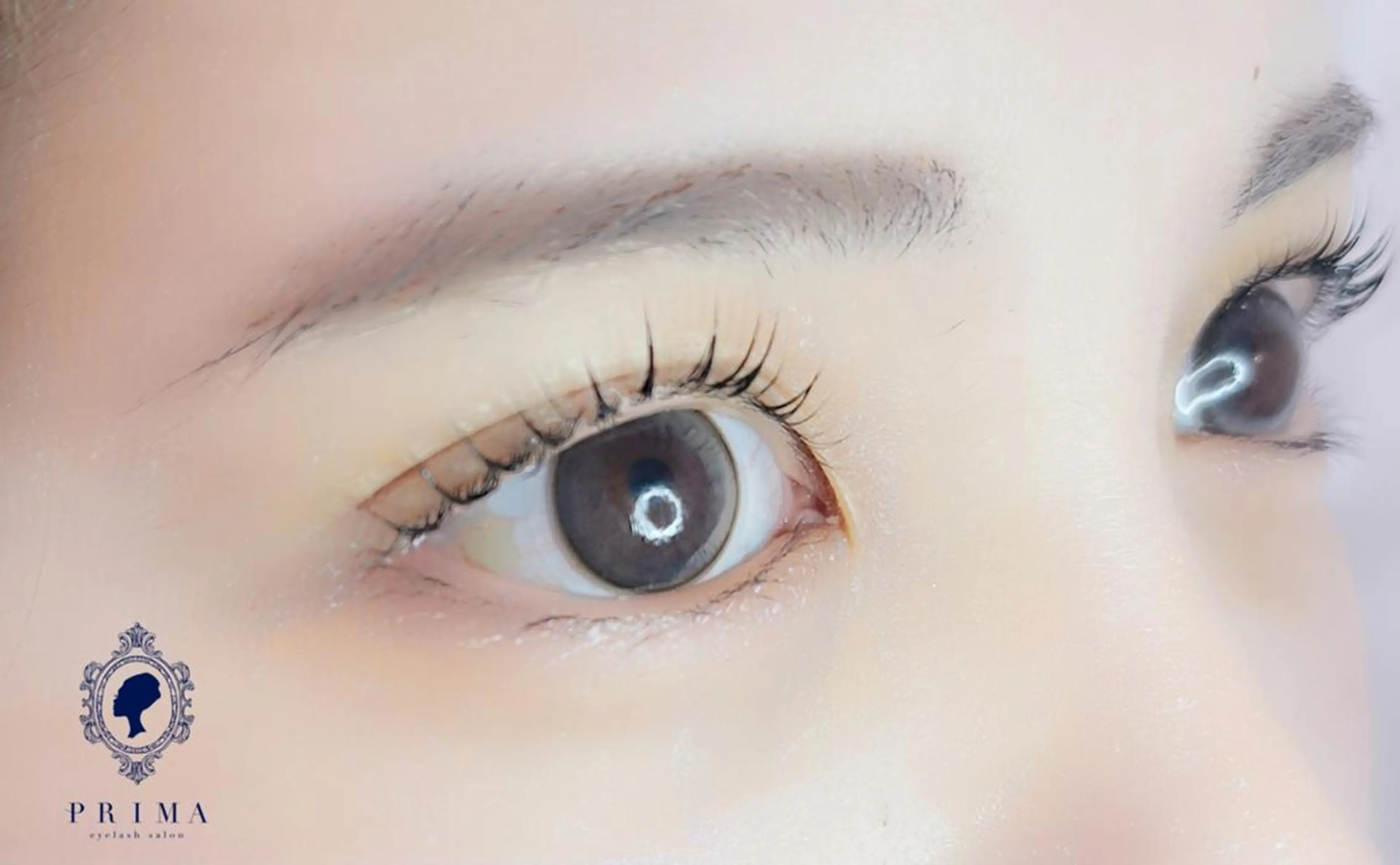 マツエク・マツパ パリジェンヌラッシュリフト マツパ ☆日付限定・学割有☆ ホウシのマツエク・マツパデザイン