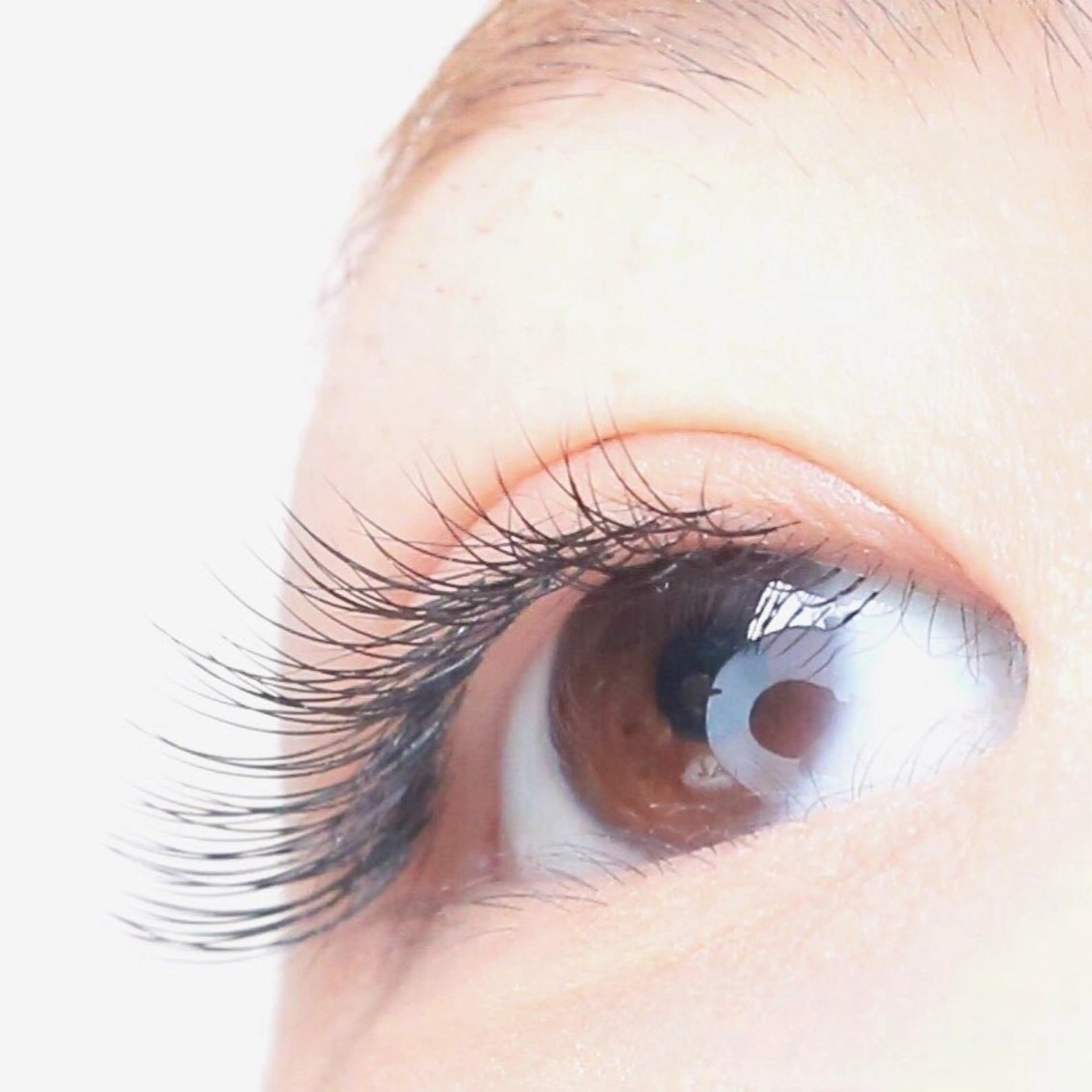 【最新技術&healthy☆】ラッシュリフト+LEDマツエク120本❣アイシャンプー付の写真