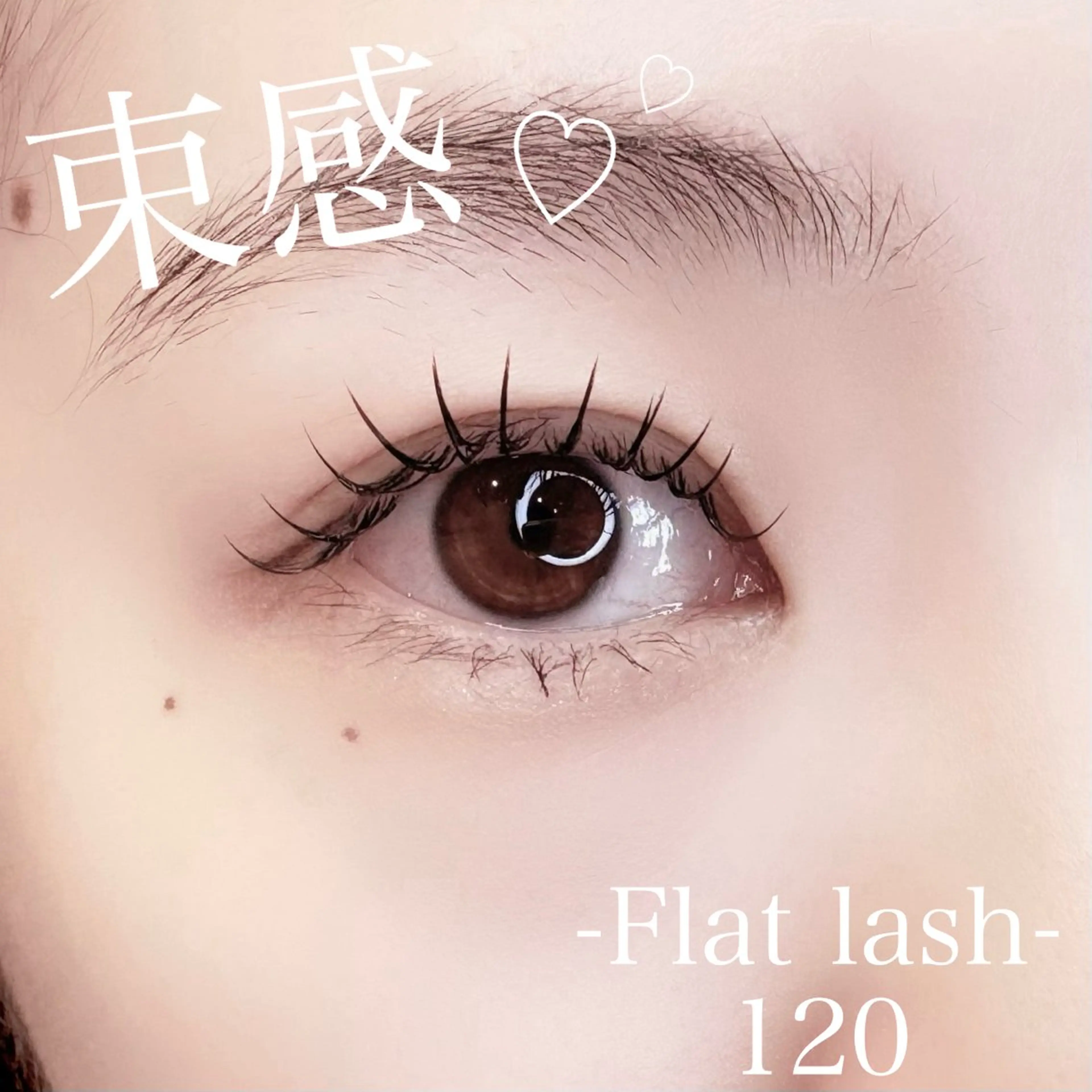 マツエク・マツパ マツエク 大澤 美音🫧iLのマツエク・マツパデザイン