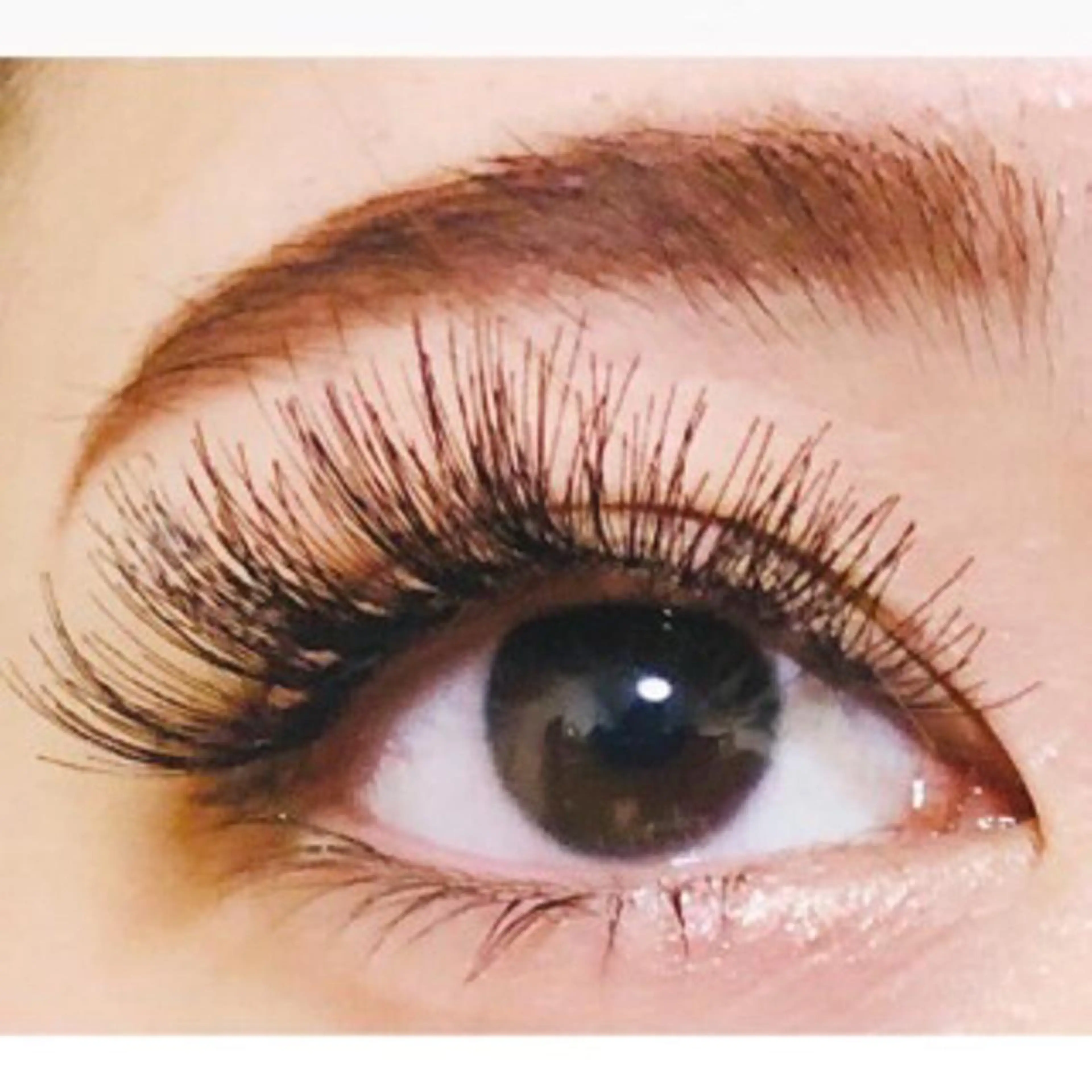 最高級ソフトフラットラッシュ140本の写真