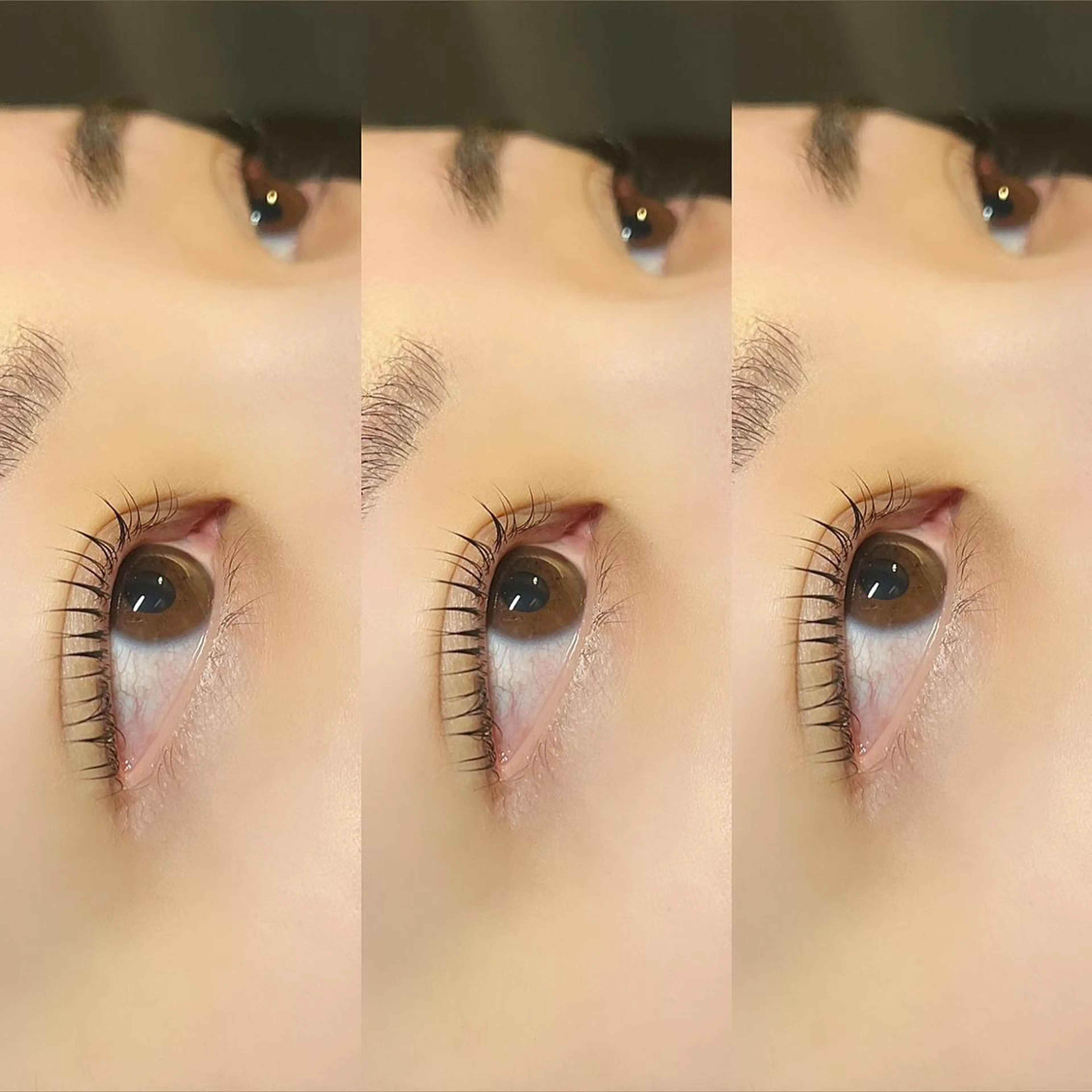 マツエク・マツパ マツパ Milo by king/AYANOのマツエク・マツパデザイン