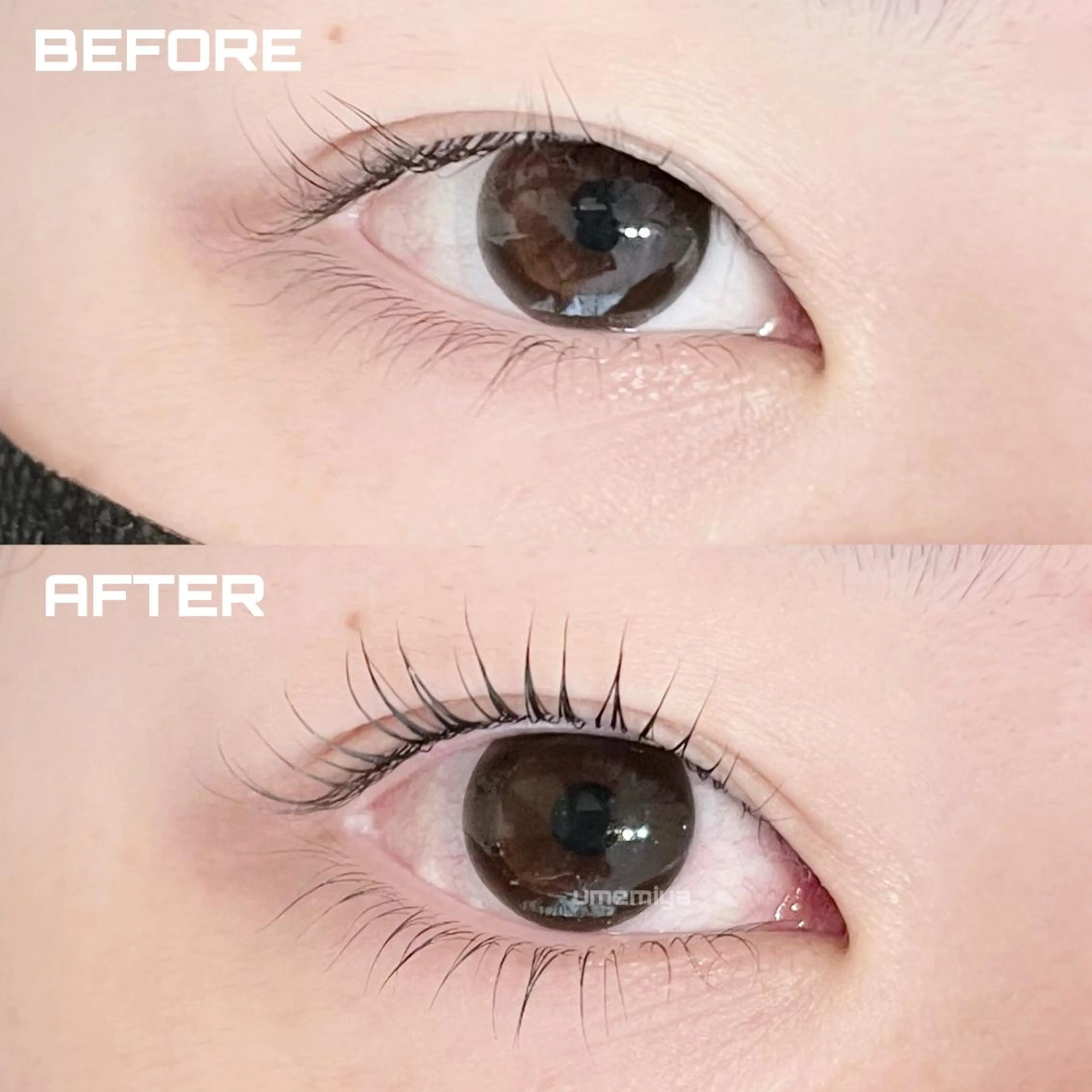 平日限定🥀上下ケラチンラッシュリフト🥀次世代まつげパーマ(アイシャンプー付)の写真