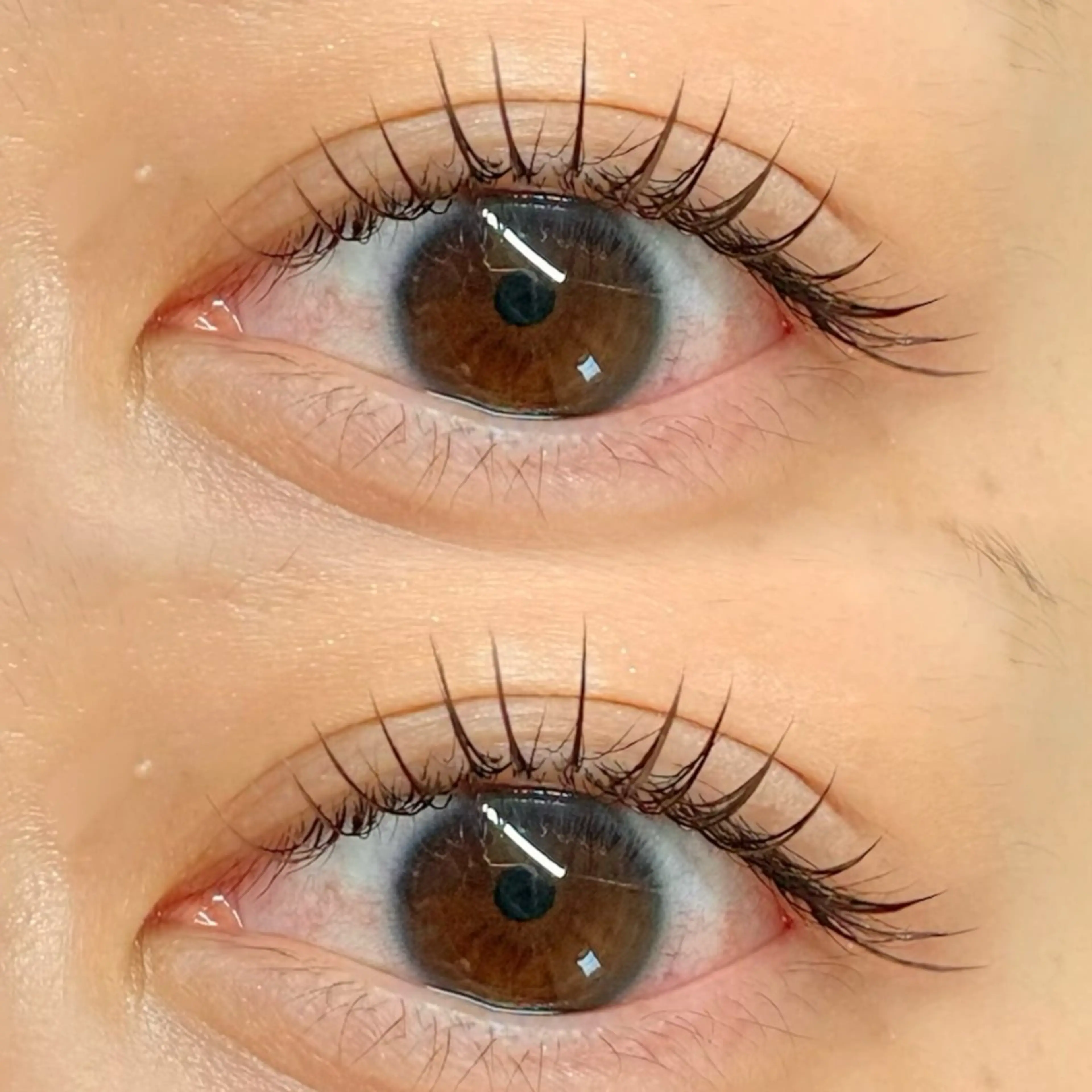 マツエク・マツパ カラーマツエク フラットラッシュ 韓国風マツエク パリジェンヌラッシュリフト まつげパーマ マツエク knoman ノマン まつパ/マツエクのマツエク・マツパデザイン