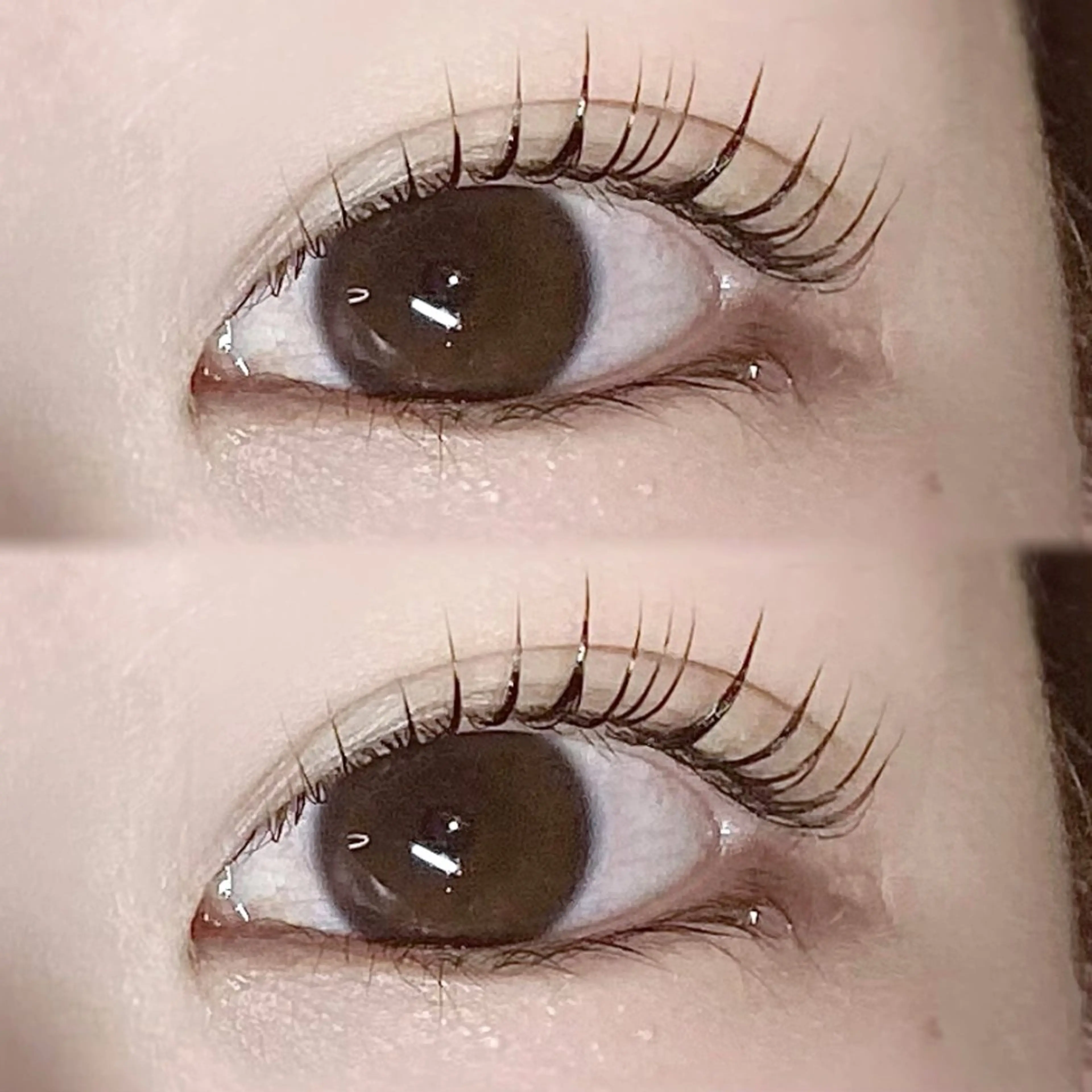 マツエク・マツパ ayaha ⌇angelicaのマツエク・マツパデザイン