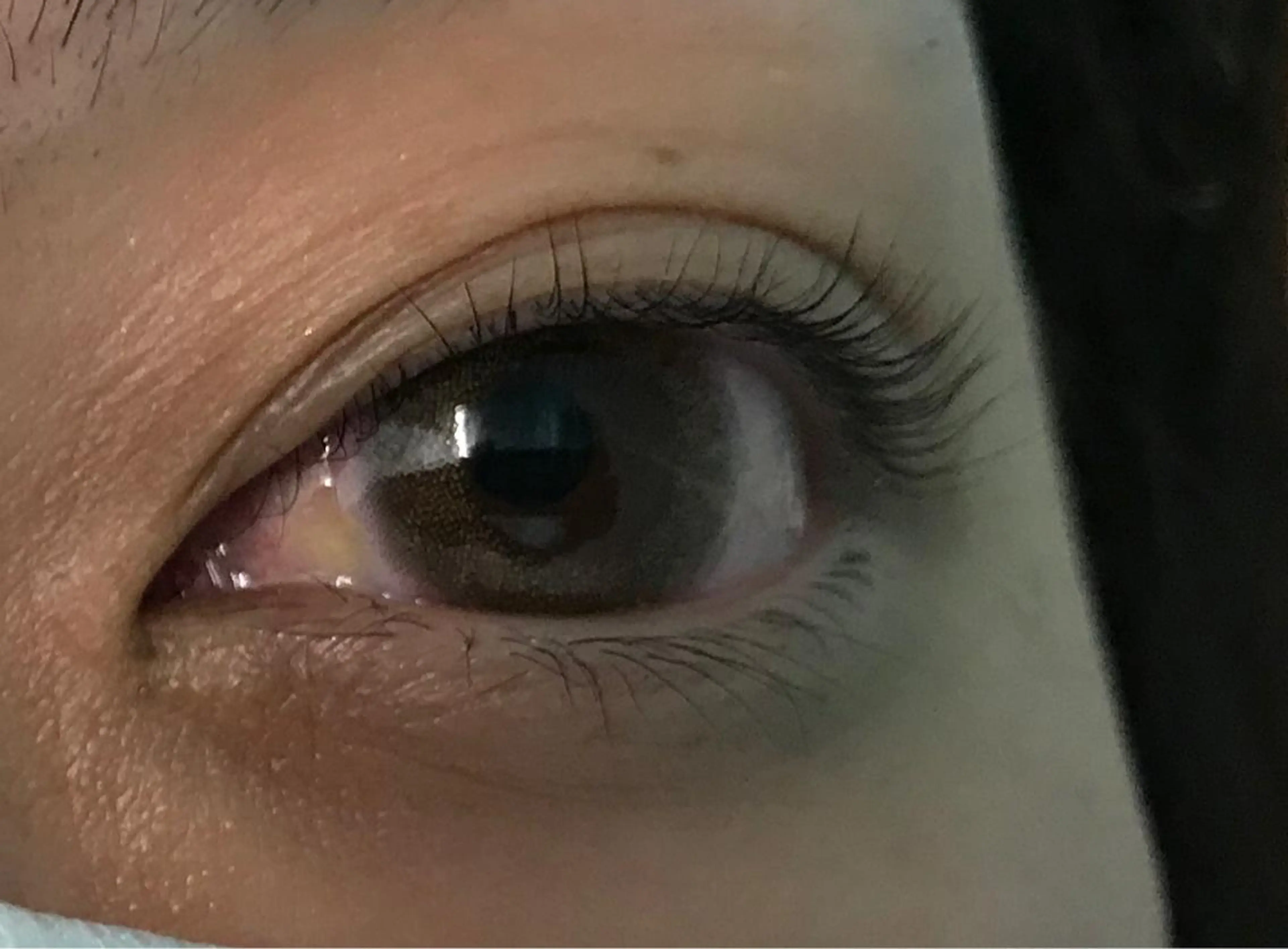 マツエク・マツパ Ｗアイラッシュ草津店 MISATOの眉毛・アイブロウイメージ