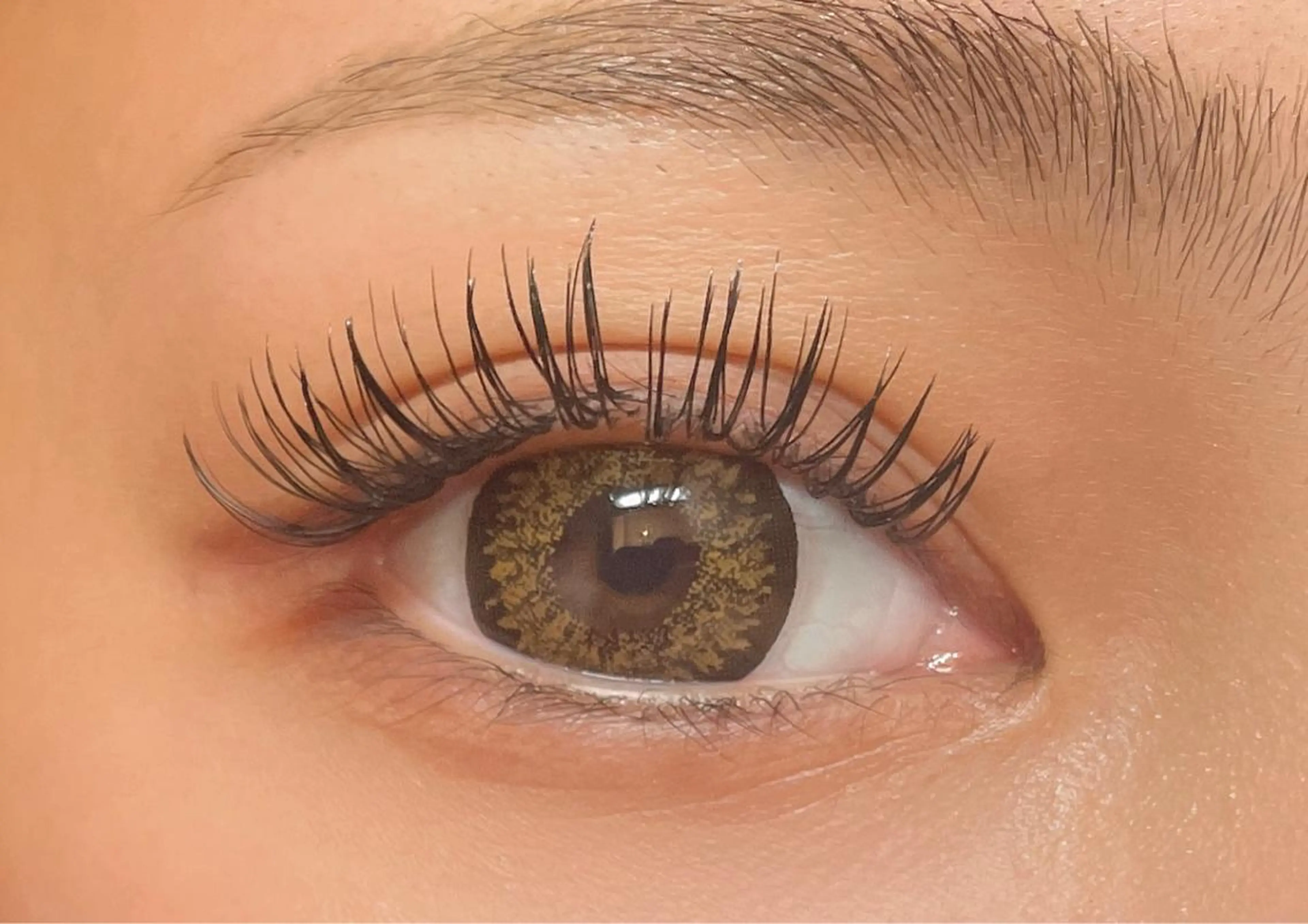 マツエク・マツパ マツエク princess 森 碧海のマツエク・マツパデザイン