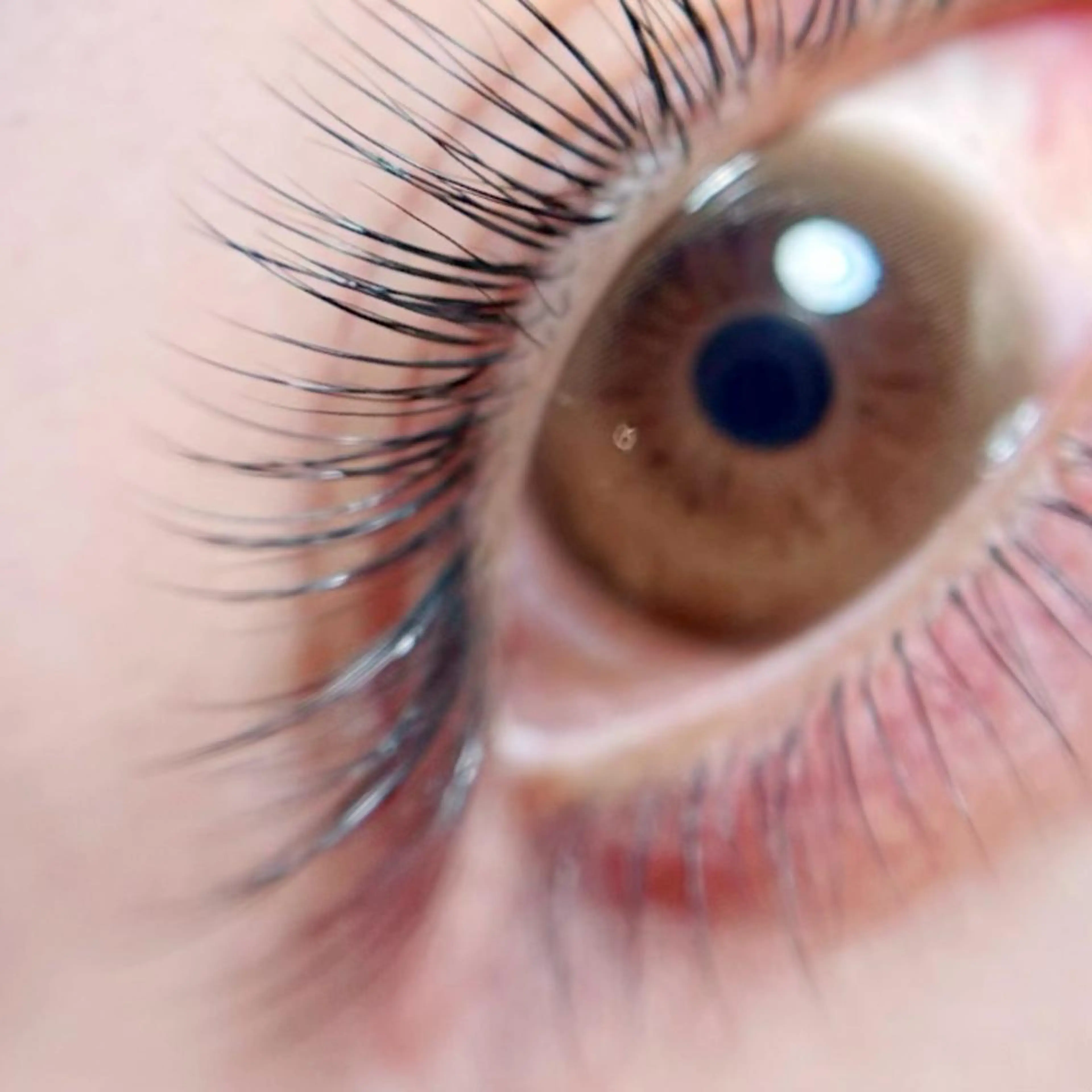 マツエク・マツパ rina Amelie渋谷のマツエク・マツパデザイン