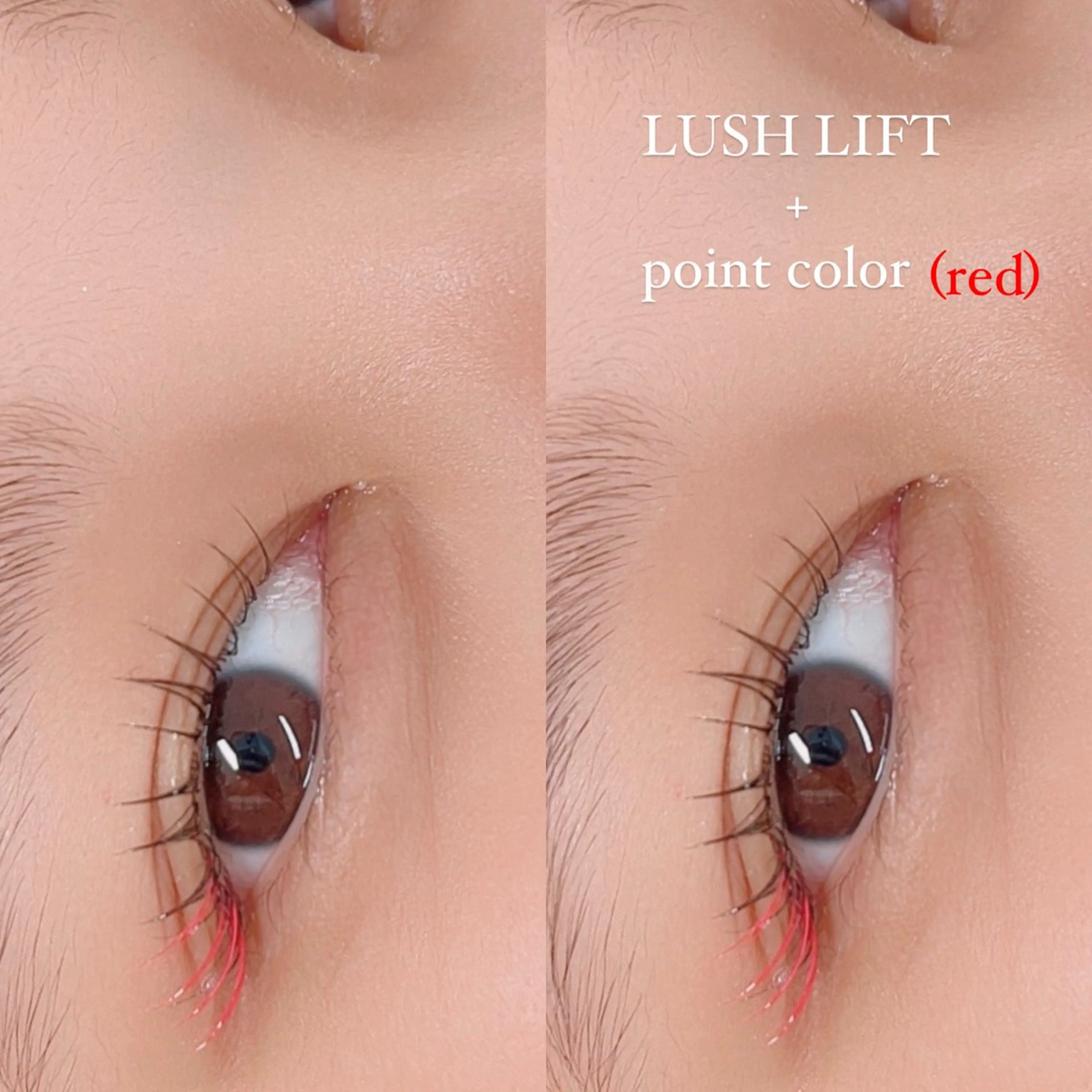 マツエク・マツパ フラットラッシュ Cherir MASAMIのマツエク・マツパデザイン