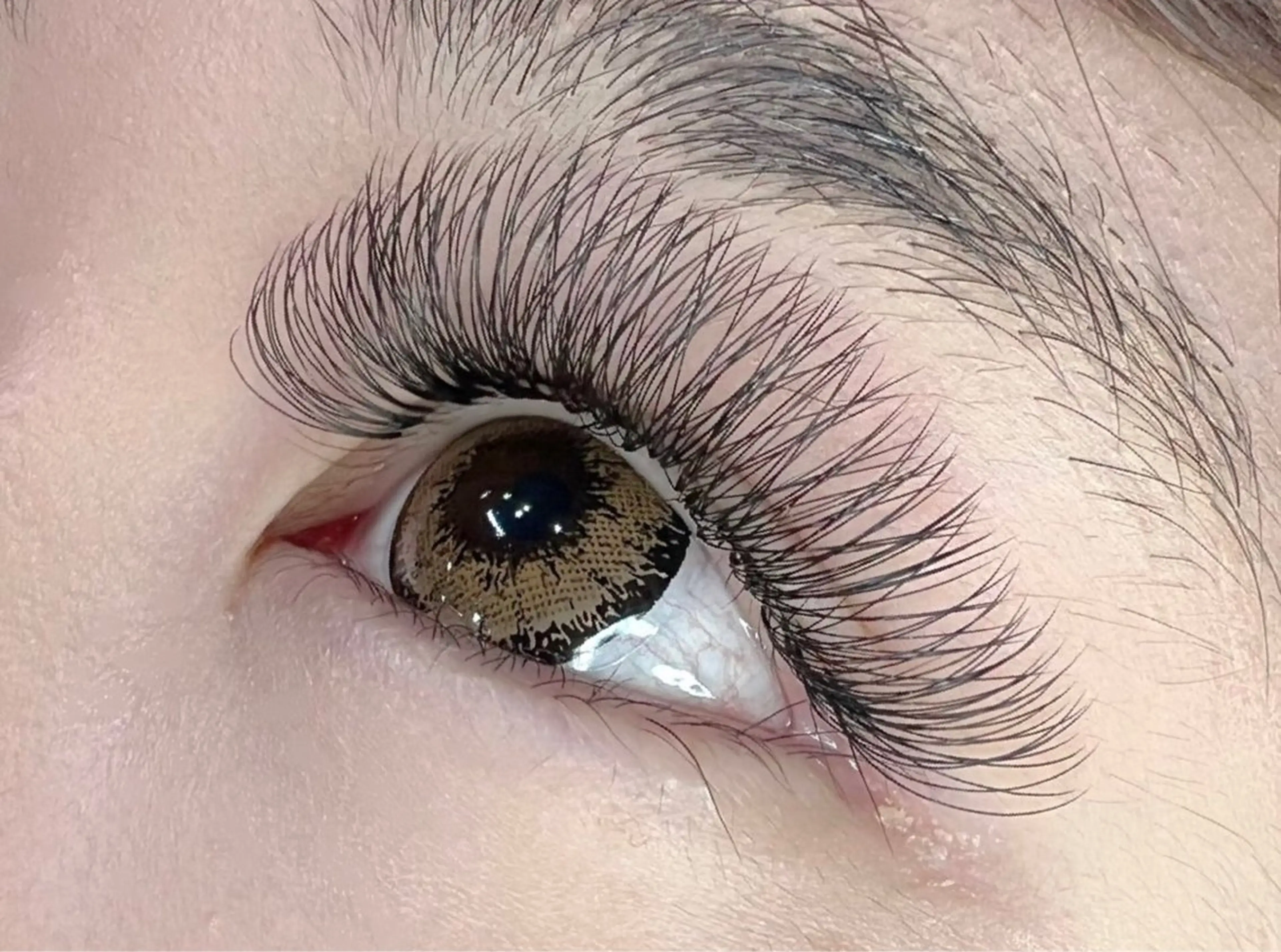 マツエク・マツパ エバーアイズ 京橋のマツエク・マツパデザイン