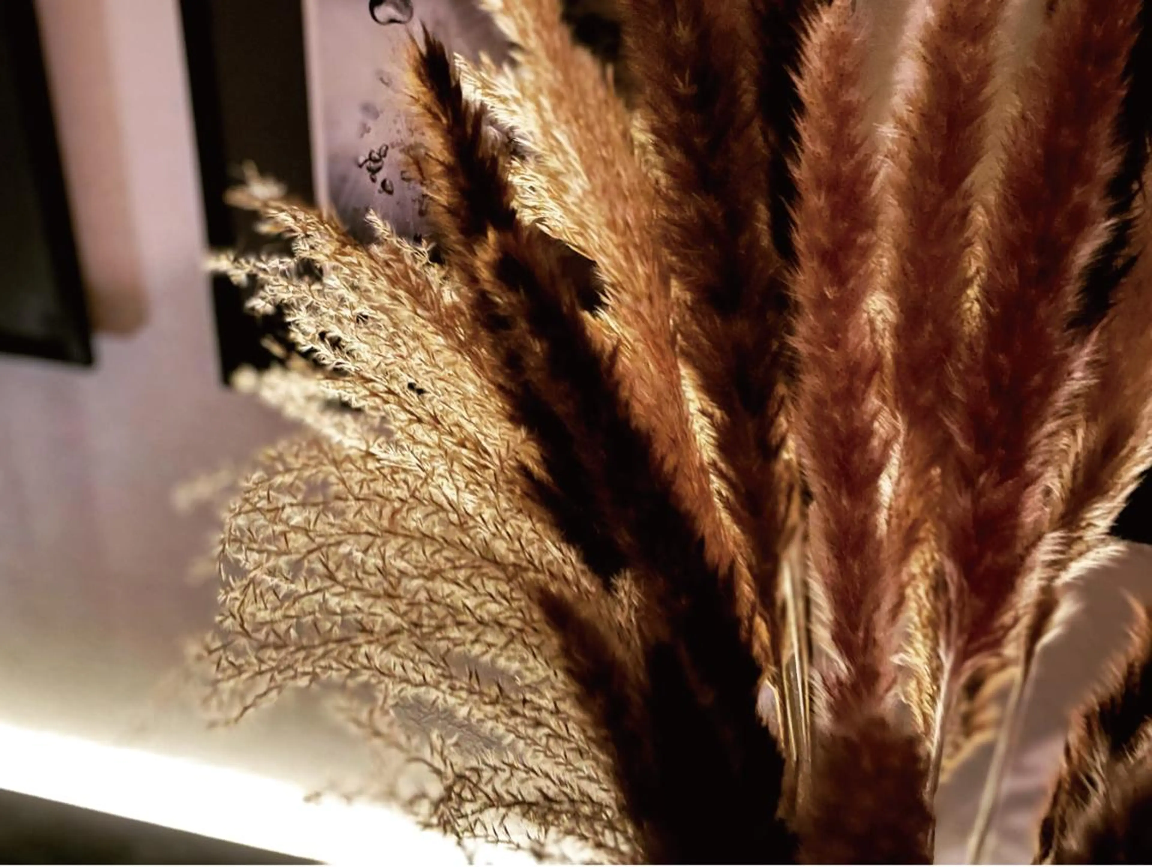 リラク Bisetto ヘッド&全身リンパマッサージサロン 恵比寿【ビセット】所属・一ノ瀬 浩也のエステ・リラクイメージ