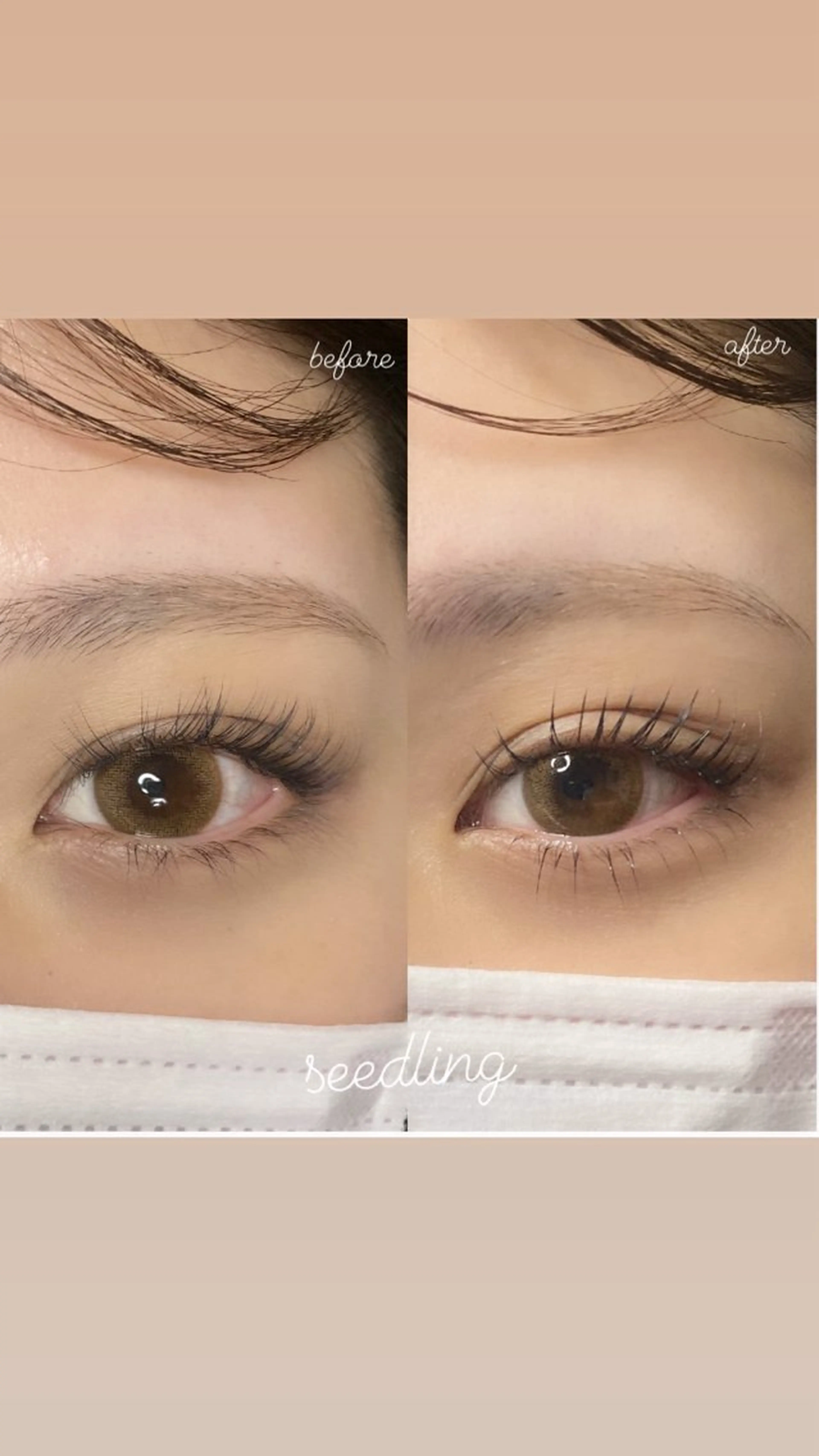 マツエク・マツパ まつげパーマ 下まつげエクステ シードリン 府内店 杉田のマツエク・マツパデザイン