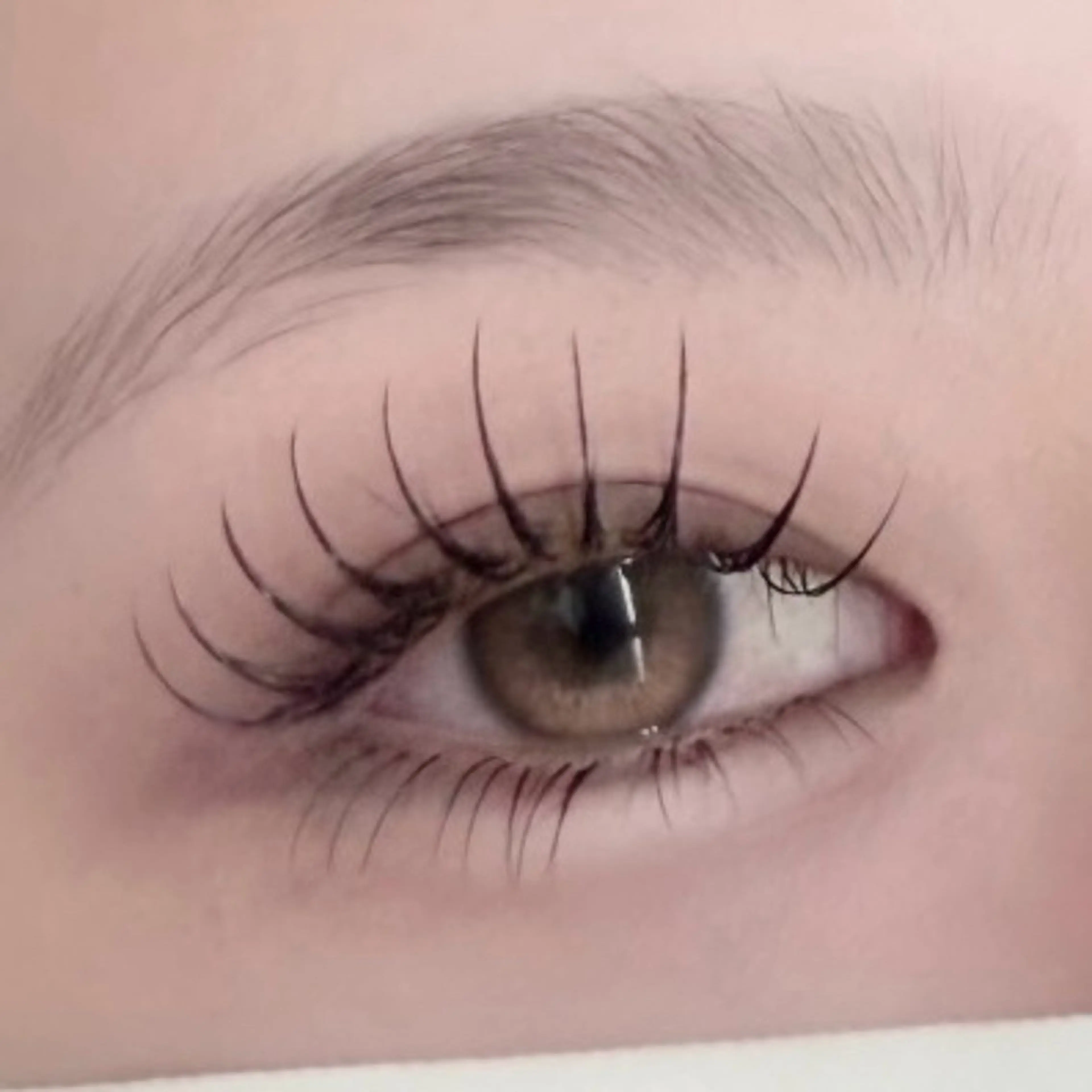 【お試し価格】アップワードラッシュ120本🩰🤎〈オフ込、束感コーティング付〉の写真