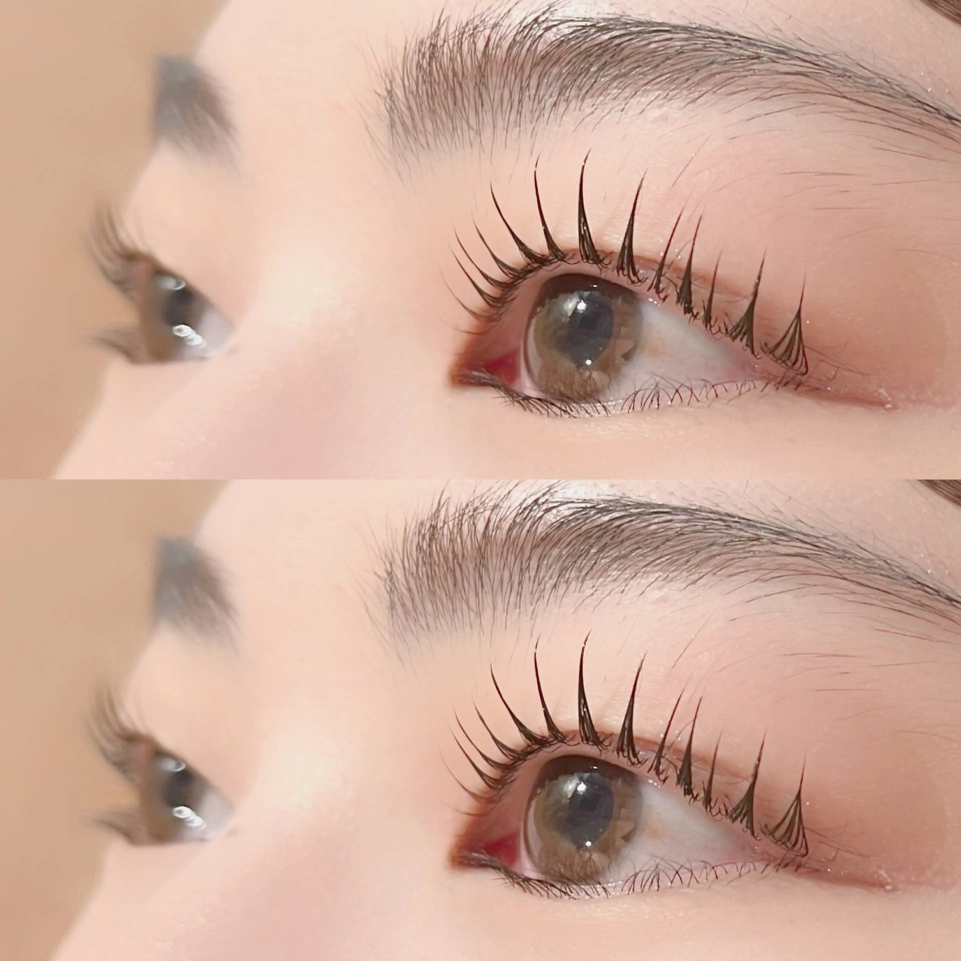 🌸ラッシュリフト（上下まつ毛）🫧束間コーティング付き🫧の写真