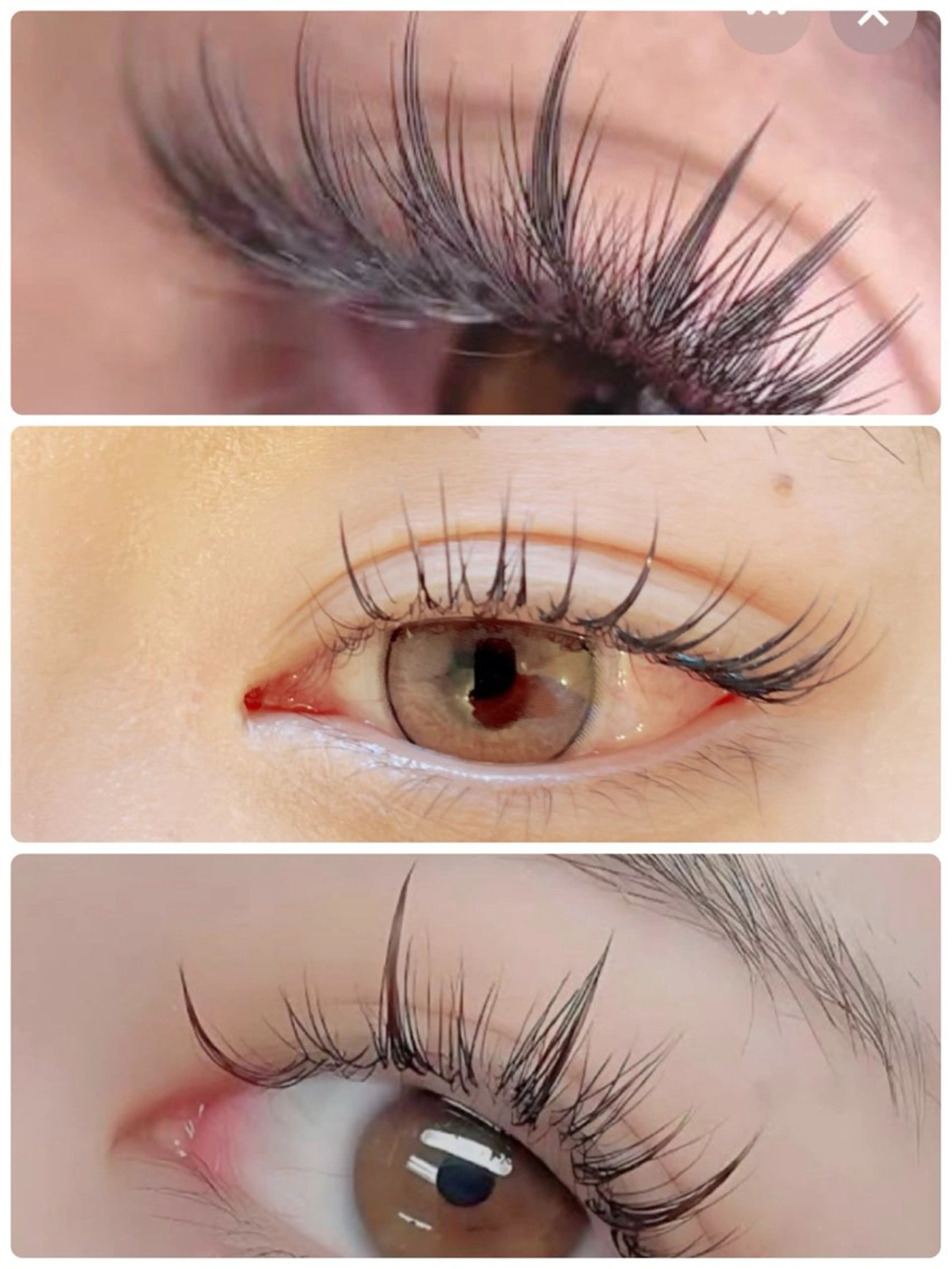 バリエク《シングル60本、ワンホン12本＋シングル20本、バインドロック30束よりお選びください。オフ無料の写真