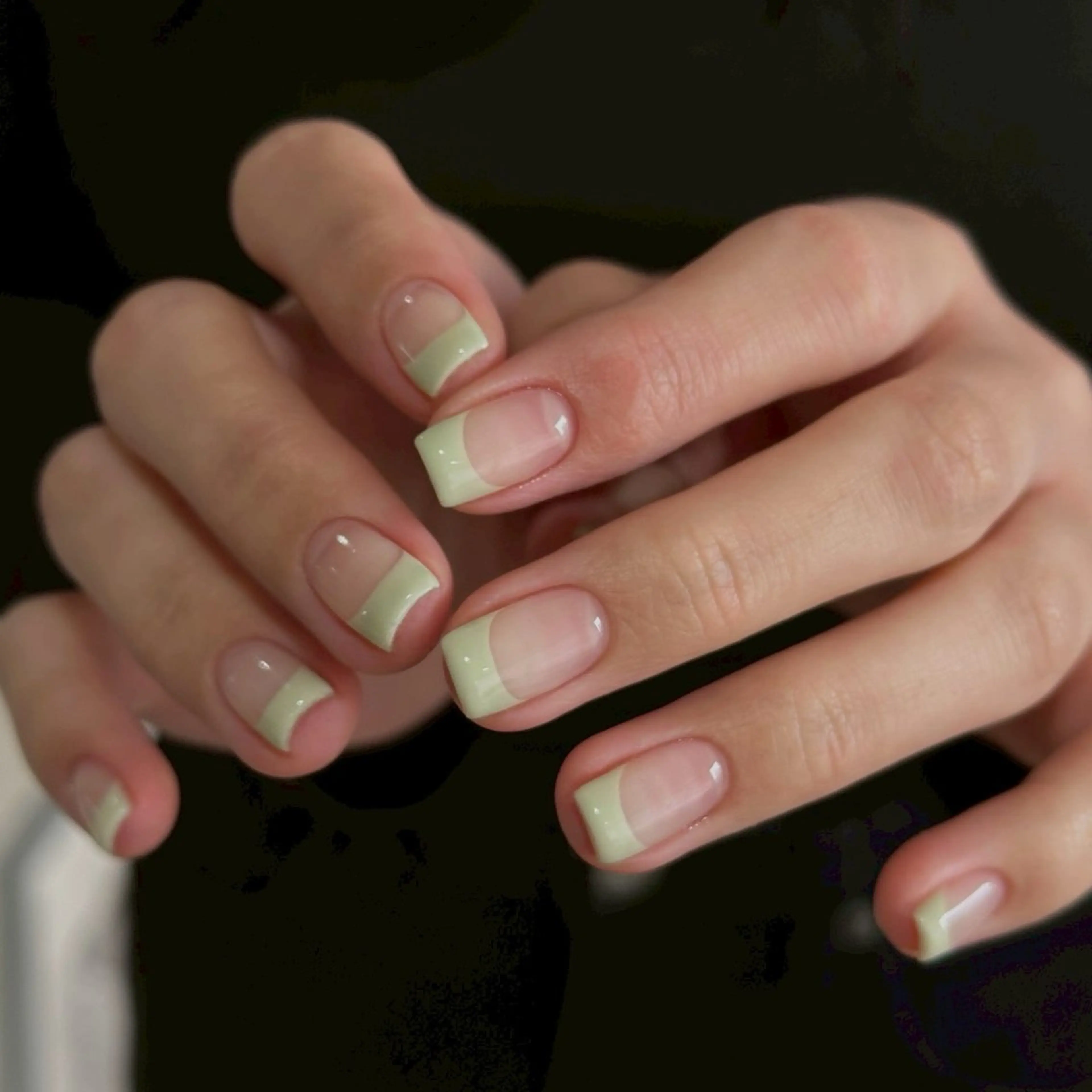 【オフなし】フレンチの写真