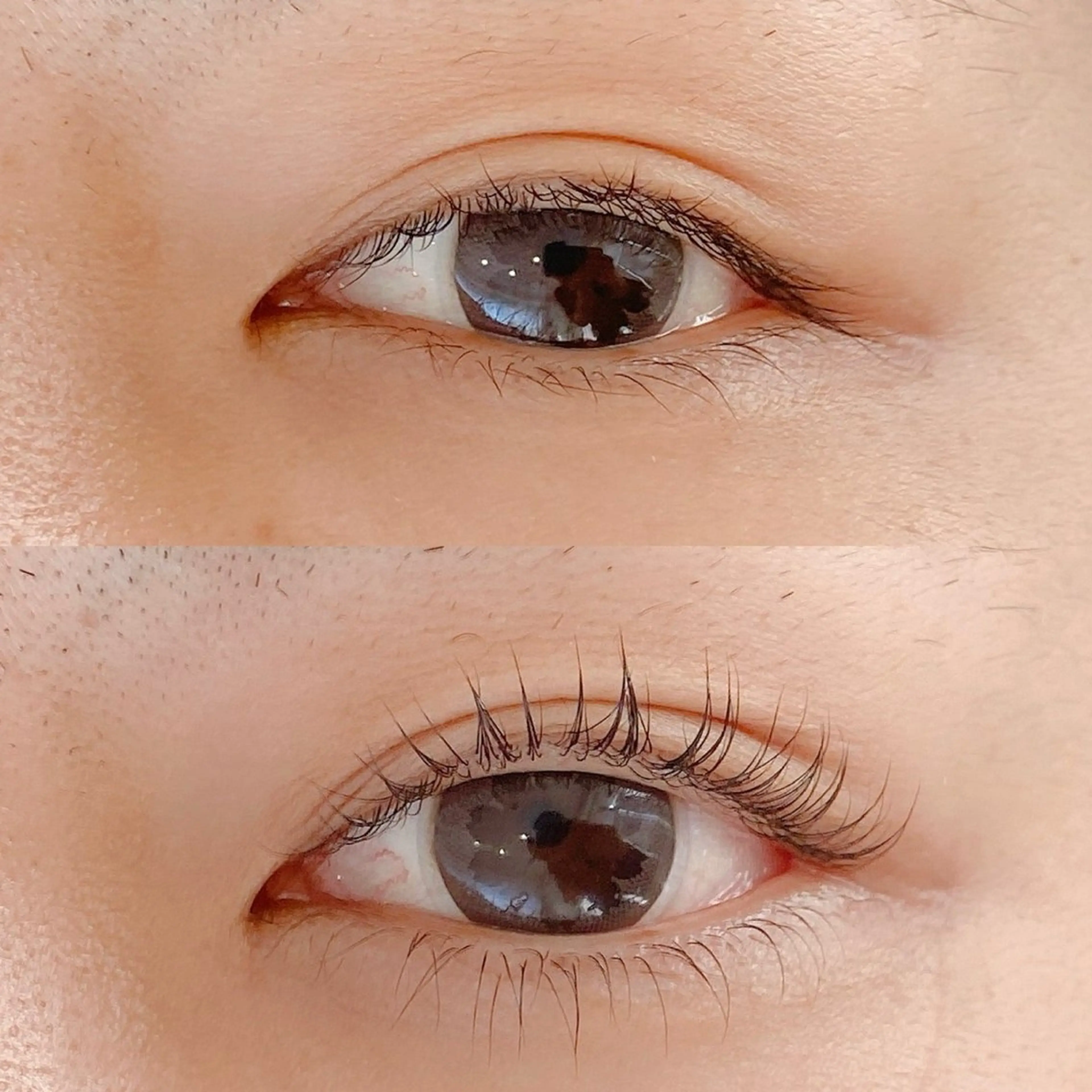 マツエク・マツパ shucre太田川 🎀miuのマツエク・マツパデザイン