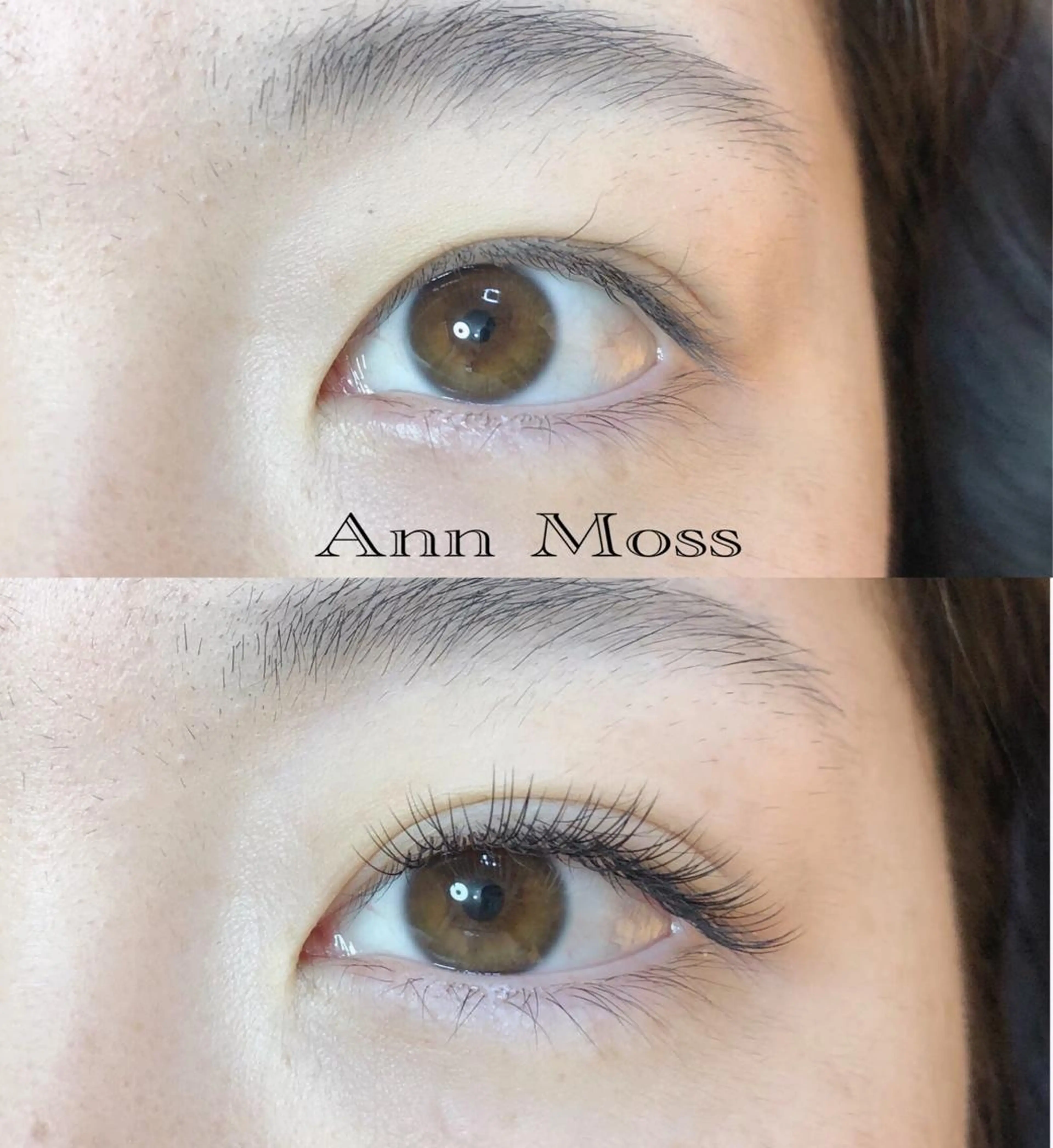マツエク・マツパ 無料モデル募集中 Ann Mossのマツエク・マツパデザイン