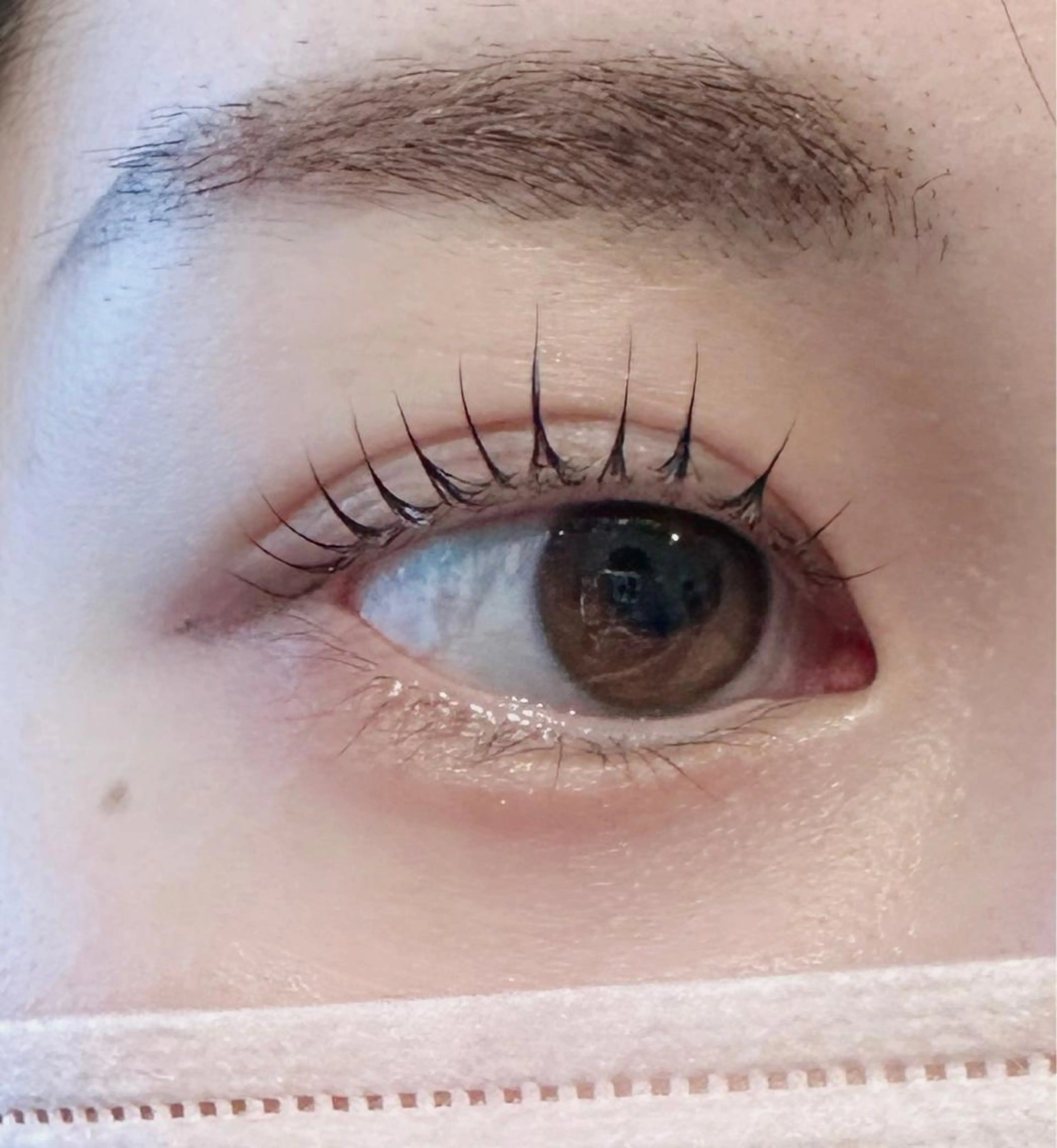 🙆‍♀️初回限定🙆‍♀️【一般上】パリジェンヌ・ラッシュリフトｺｰﾃｨﾝｸﾞ仕上🥰の写真