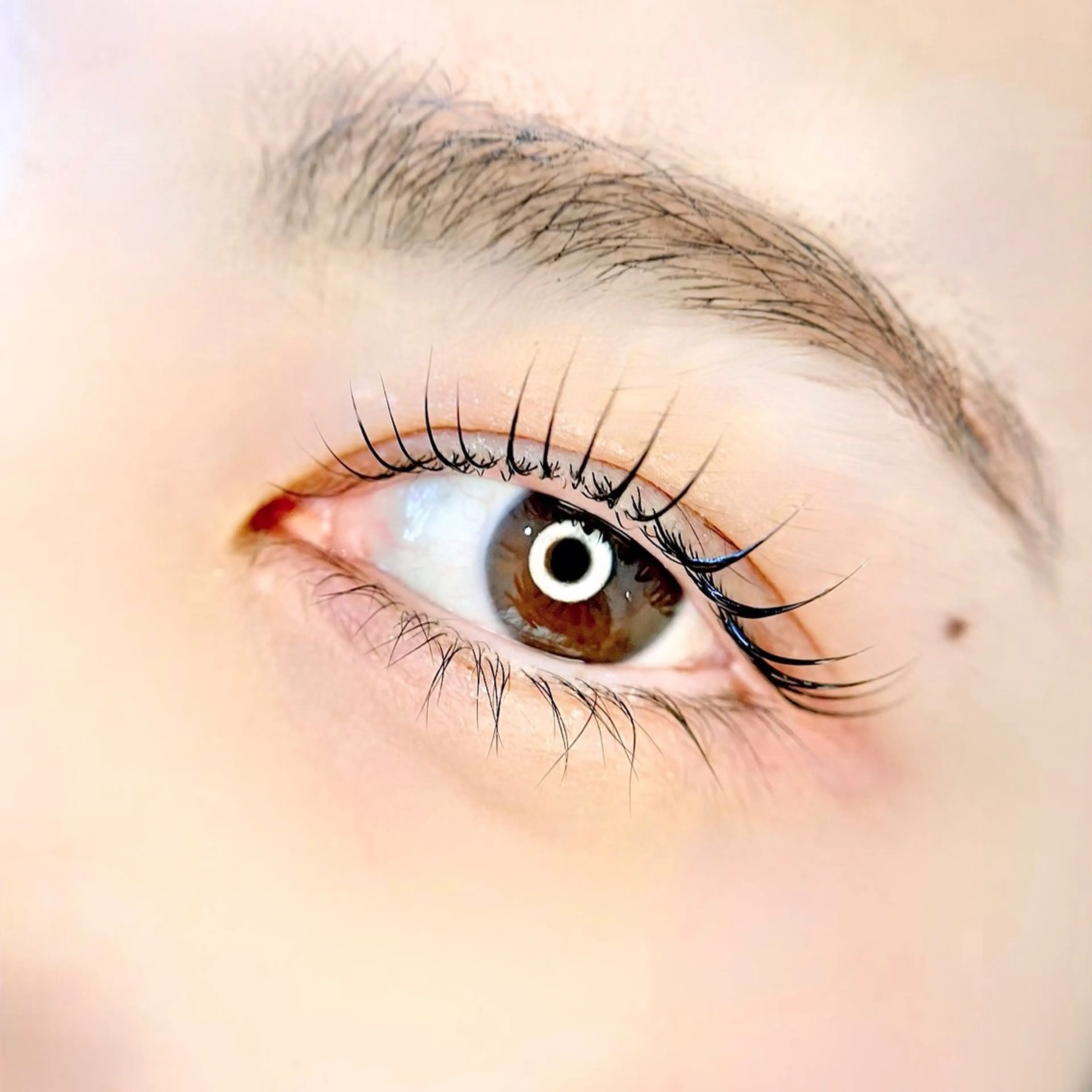 マツエク・マツパ マツパ eyelash salon.VIELのマツエク・マツパデザイン