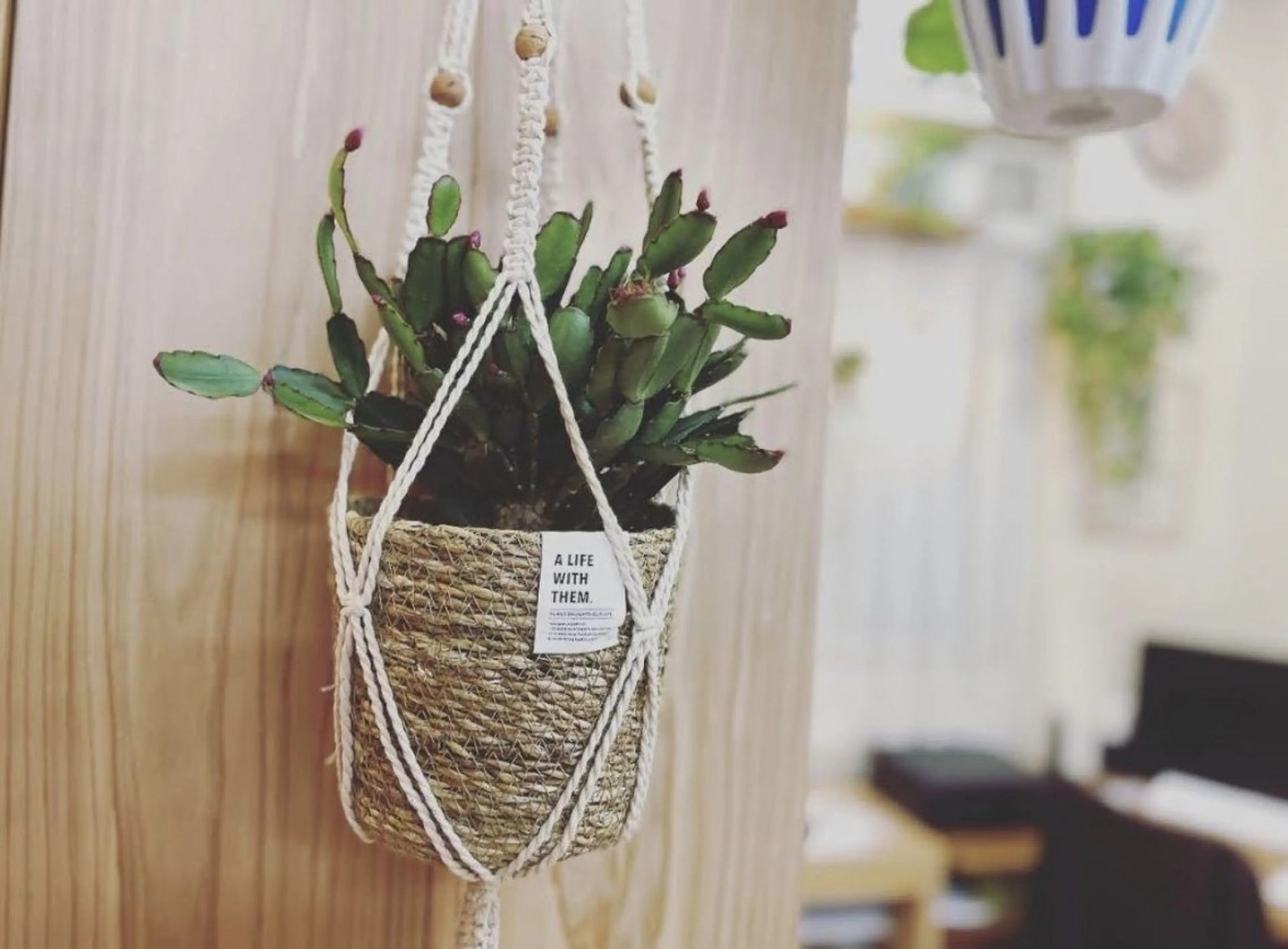 こじま富雄団地 接骨院のその他イメージ